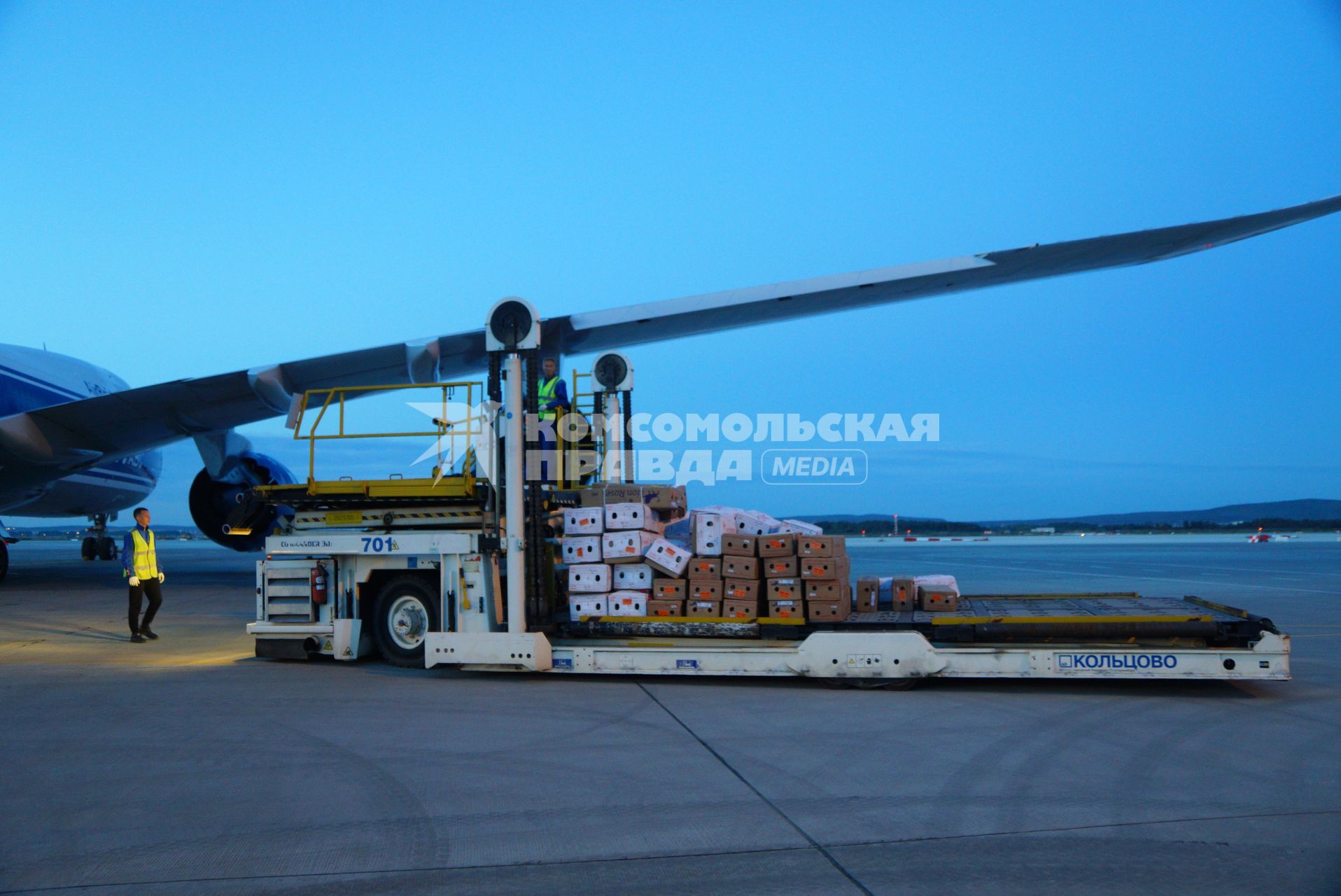 Екатеринбург. Разгрузка самолета грузовой авиакомпании \'AirBridgeCargo\' с сборной партией цветов весом 40 тонн к 1 сентября. Аэропорт \'Кольцово\'