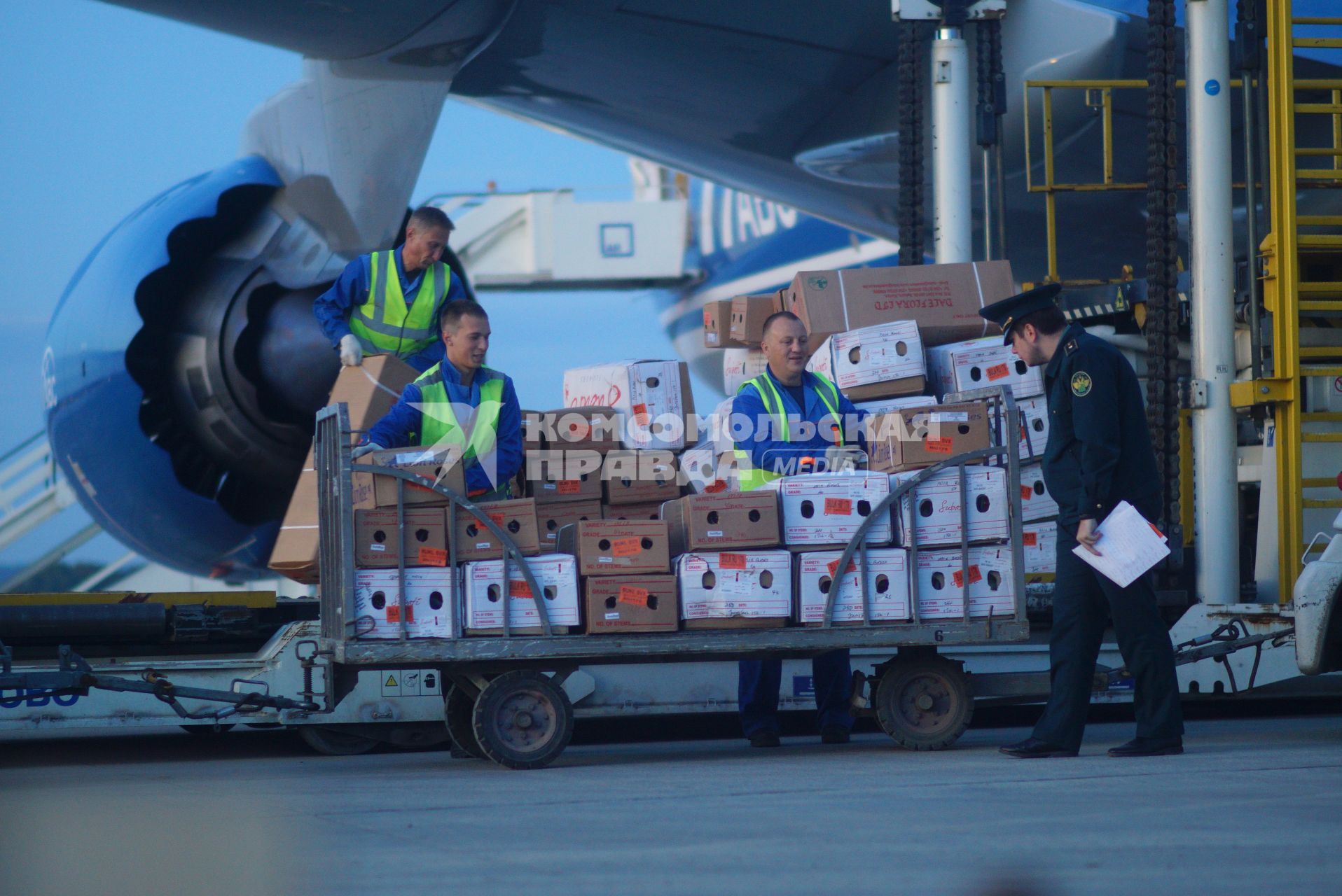 Екатеринбург. Разгрузка самолета грузовой авиакомпании \'AirBridgeCargo\' с сборной партией цветов весом 40 тонн к 1 сентября. Аэропорт \'Кольцово\'