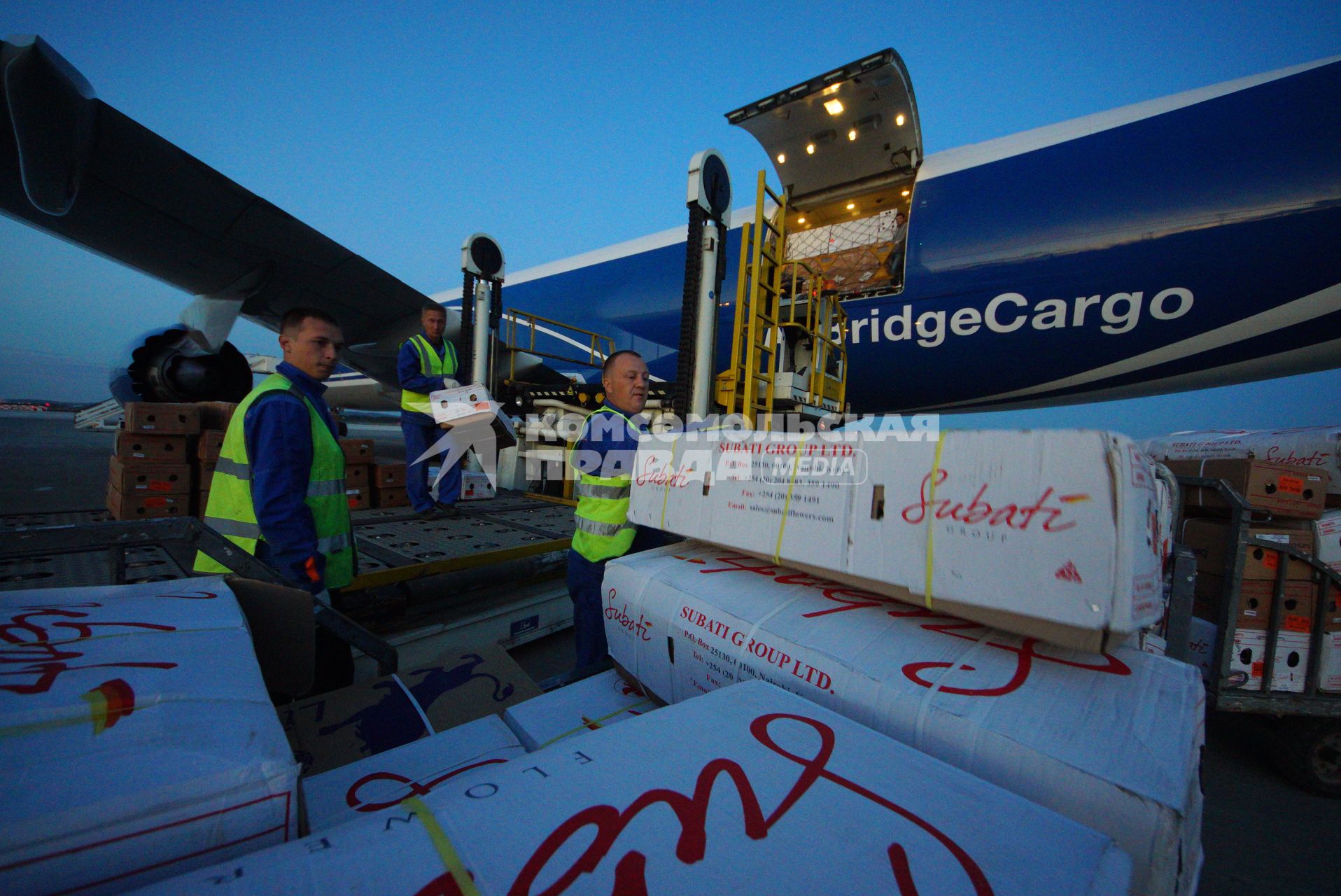 Екатеринбург. Разгрузка самолета грузовой авиакомпании \'AirBridgeCargo\' с сборной партией цветов весом 40 тонн к 1 сентября. Аэропорт \'Кольцово\'