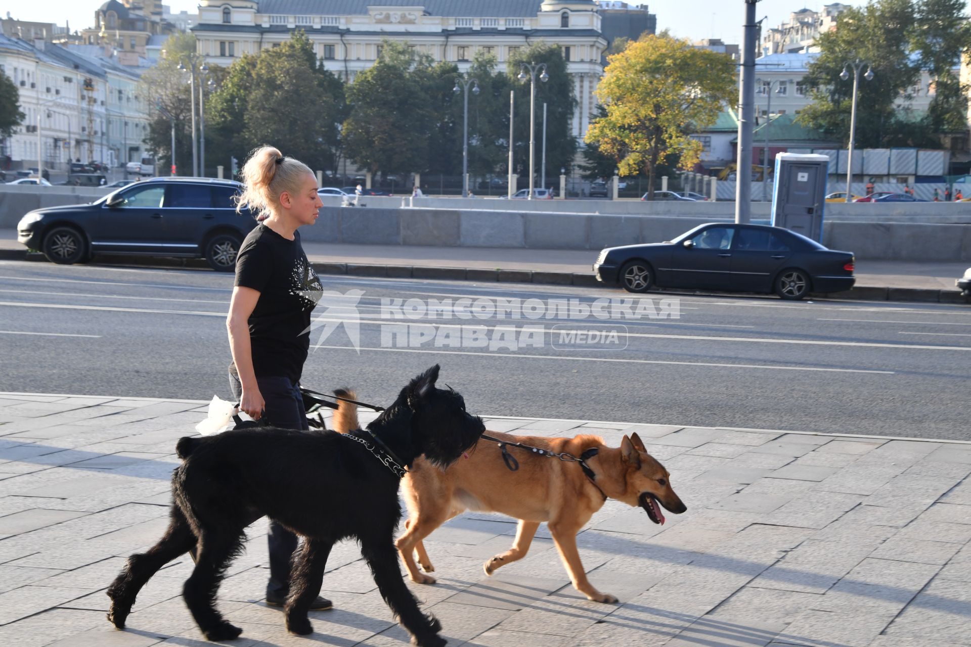 Москва. Женщина гуляет с собаками..