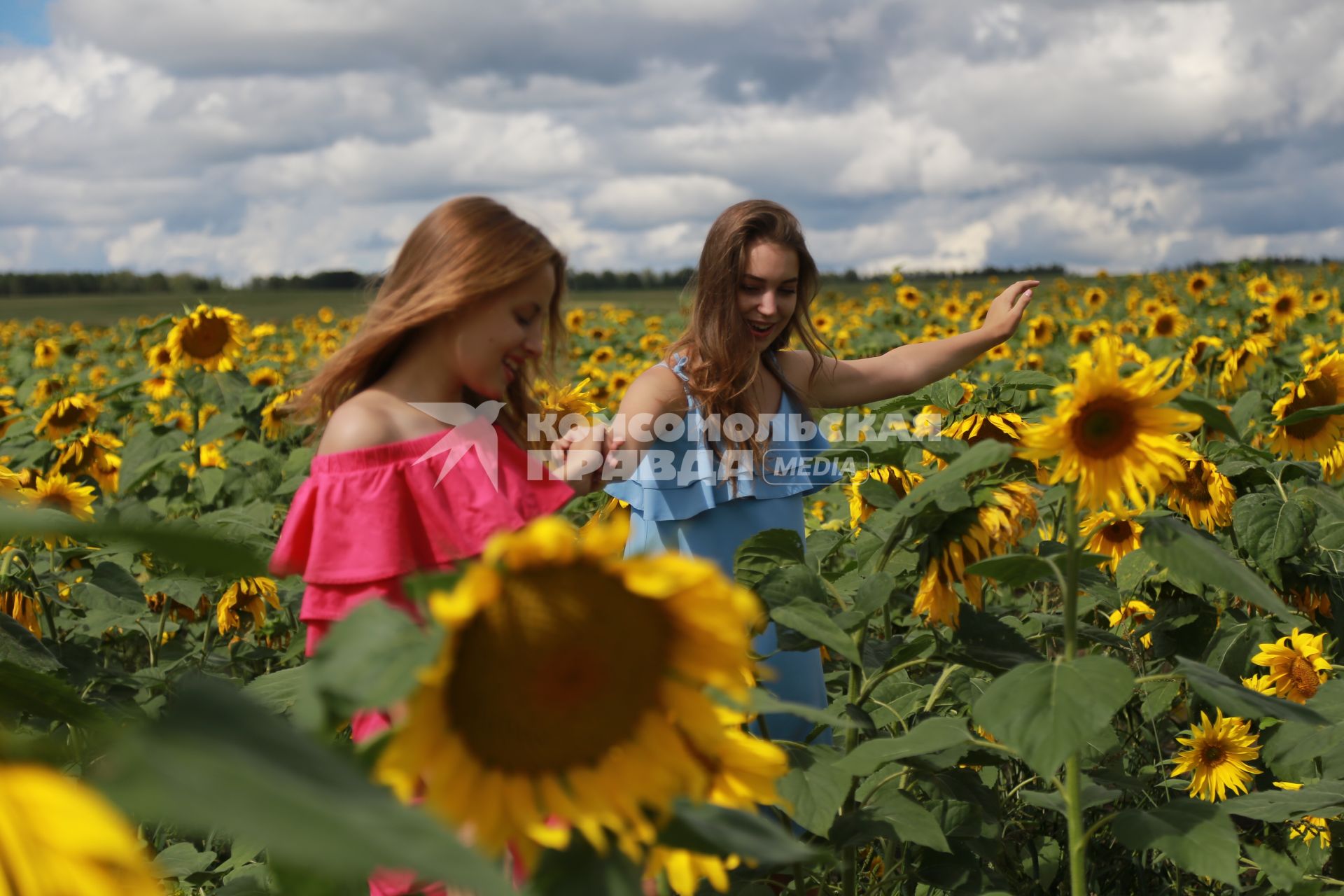 Красноярск. Девушки в  подсолнухах.