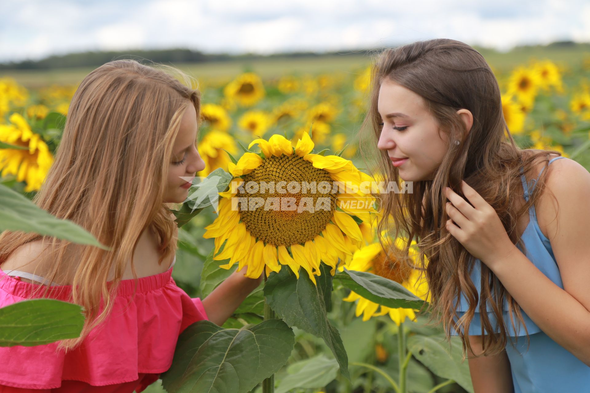 Красноярск. Девушки в  подсолнухах.