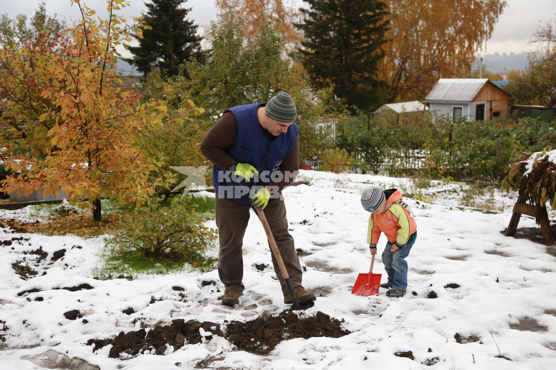 Красноярский край. Мужчина перекапывает огород на дачном участке перед началом зимы.