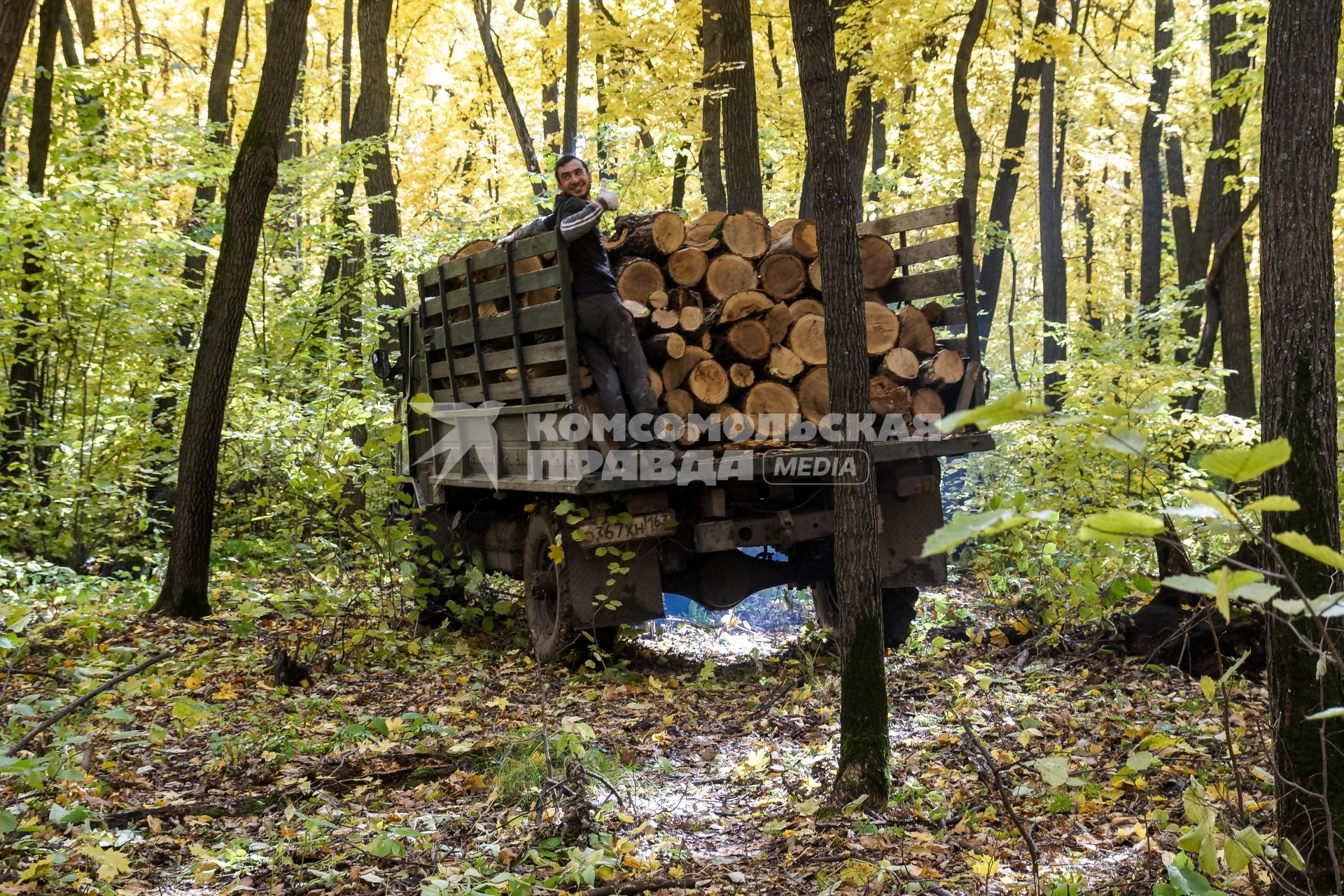 Самара.   Благоустройство территории  и расчистка леса вокруг стадиона `Самара Арена` к  Чемпионату мира по футболу 2018.