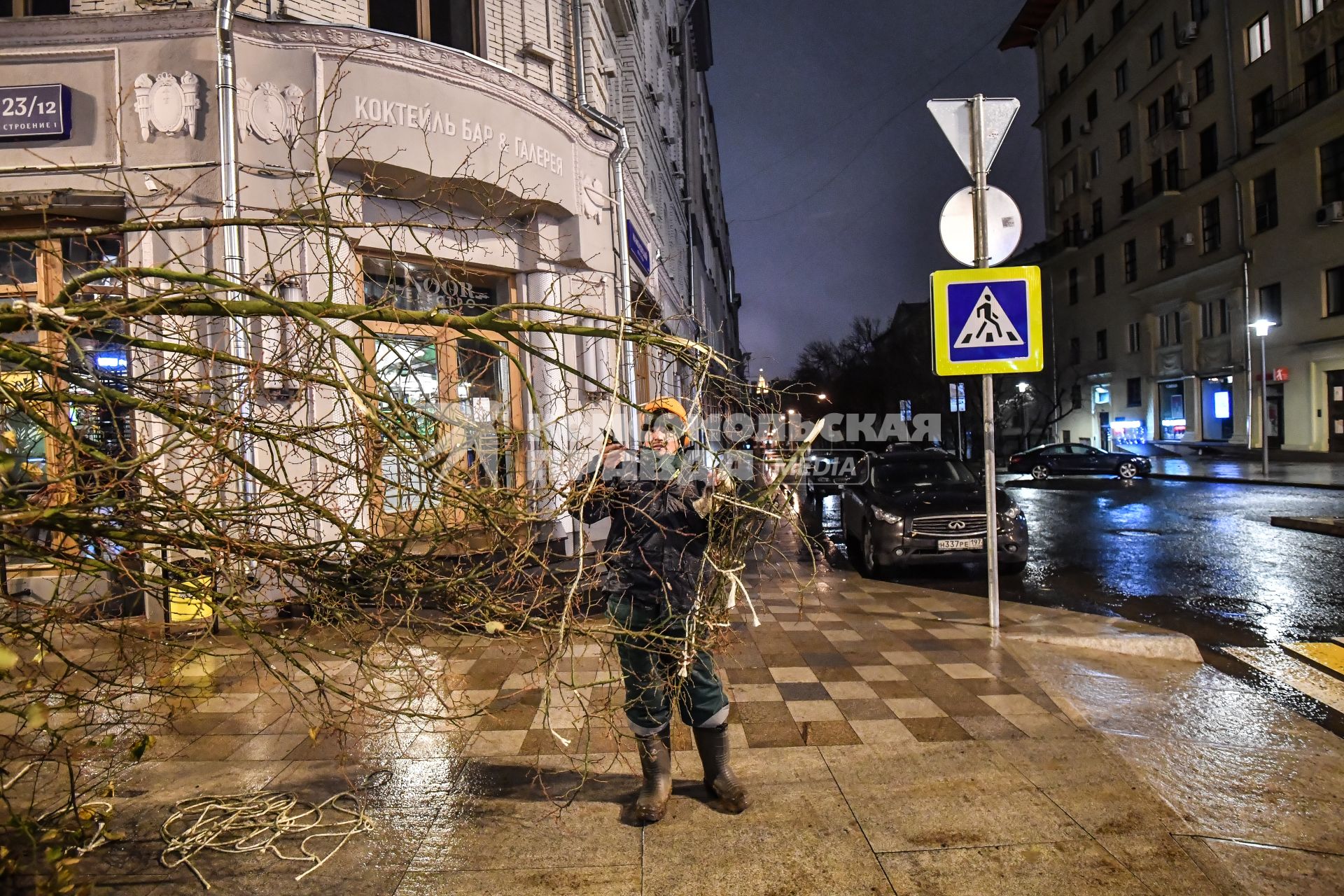 Москва. Высадка лип на Тверской улице на участке от Пушкинской до Триумфальной площади.