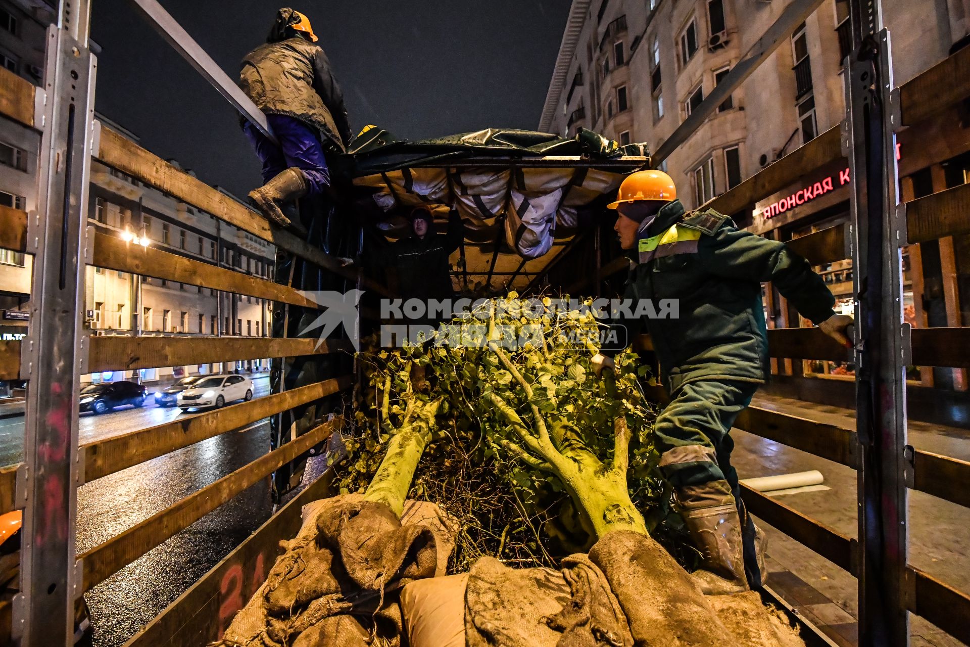 Москва. Высадка лип на Тверской улице на участке от Пушкинской до Триумфальной площади.