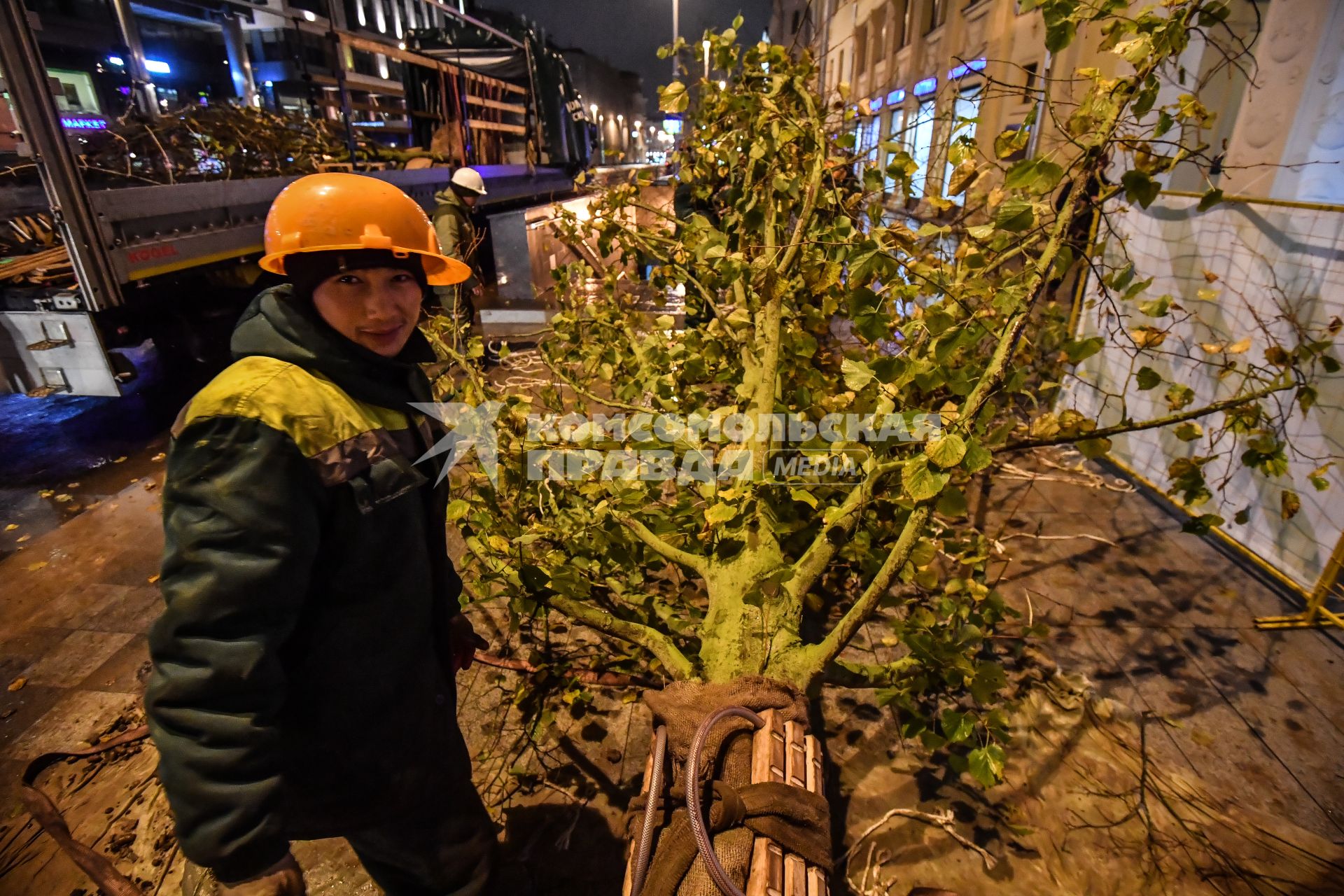 Москва. Высадка лип на Тверской улице на участке от Пушкинской до Триумфальной площади.