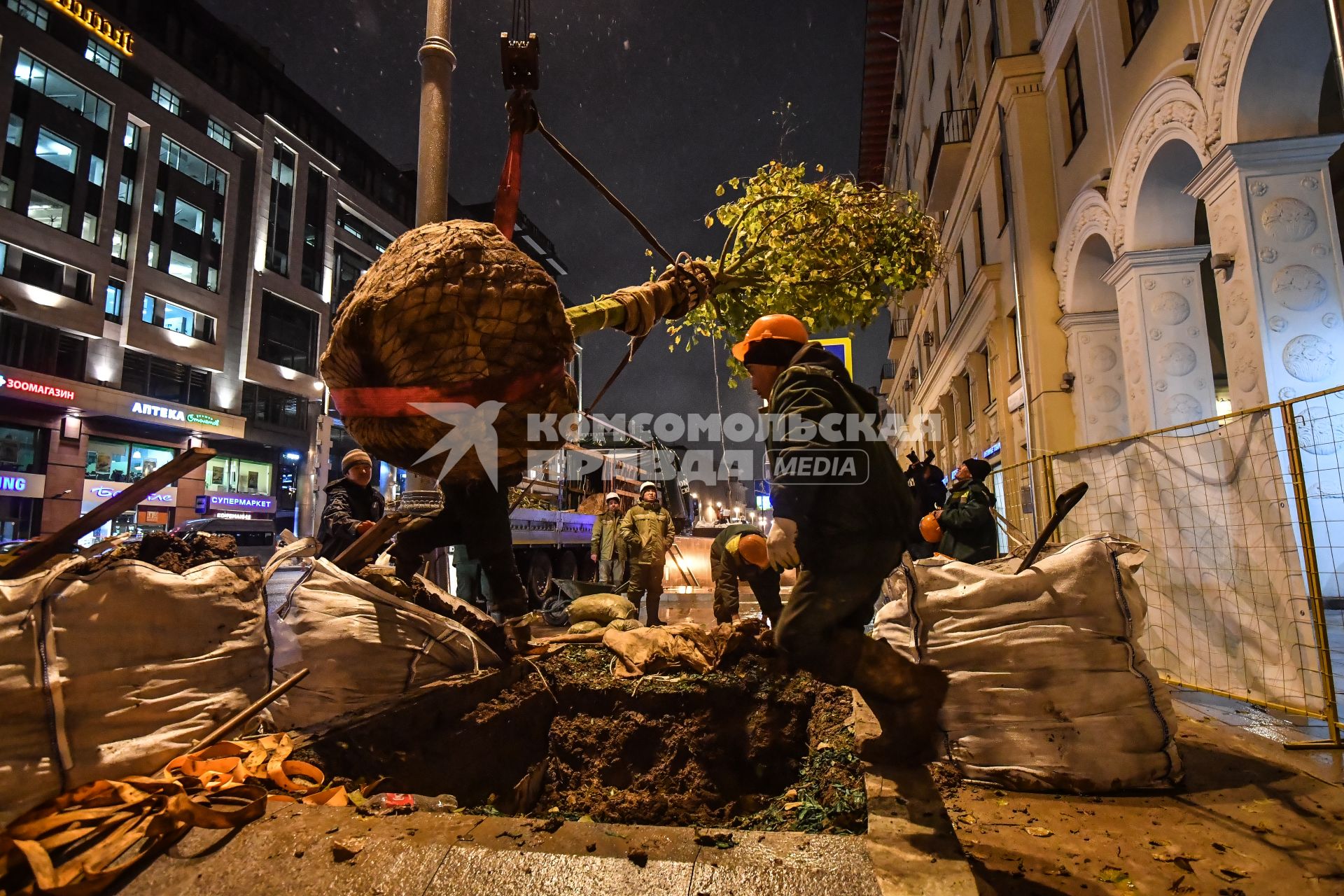 Москва. Высадка лип на Тверской улице на участке от Пушкинской до Триумфальной площади.