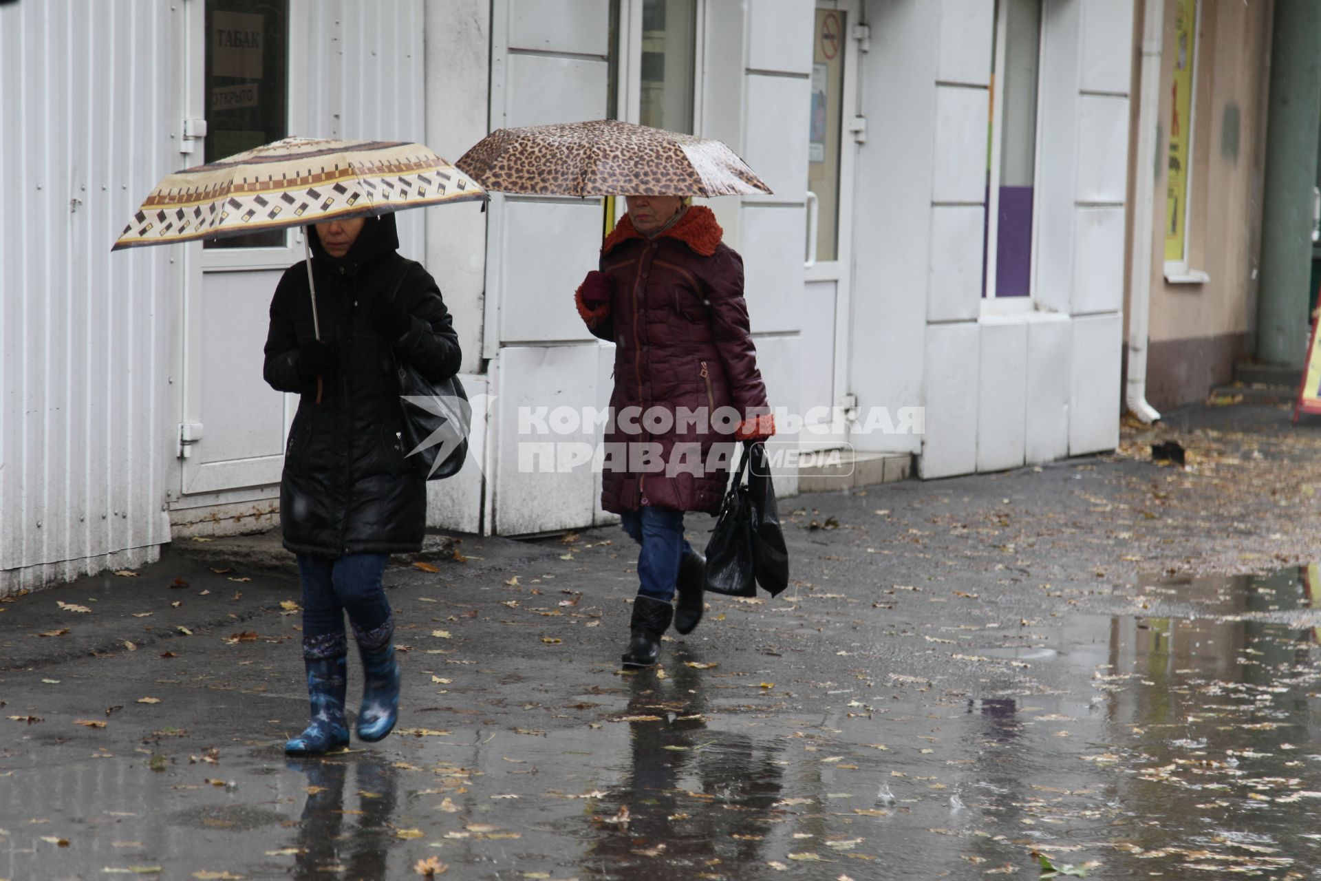 Ставрополь. Девушки под зонтом.