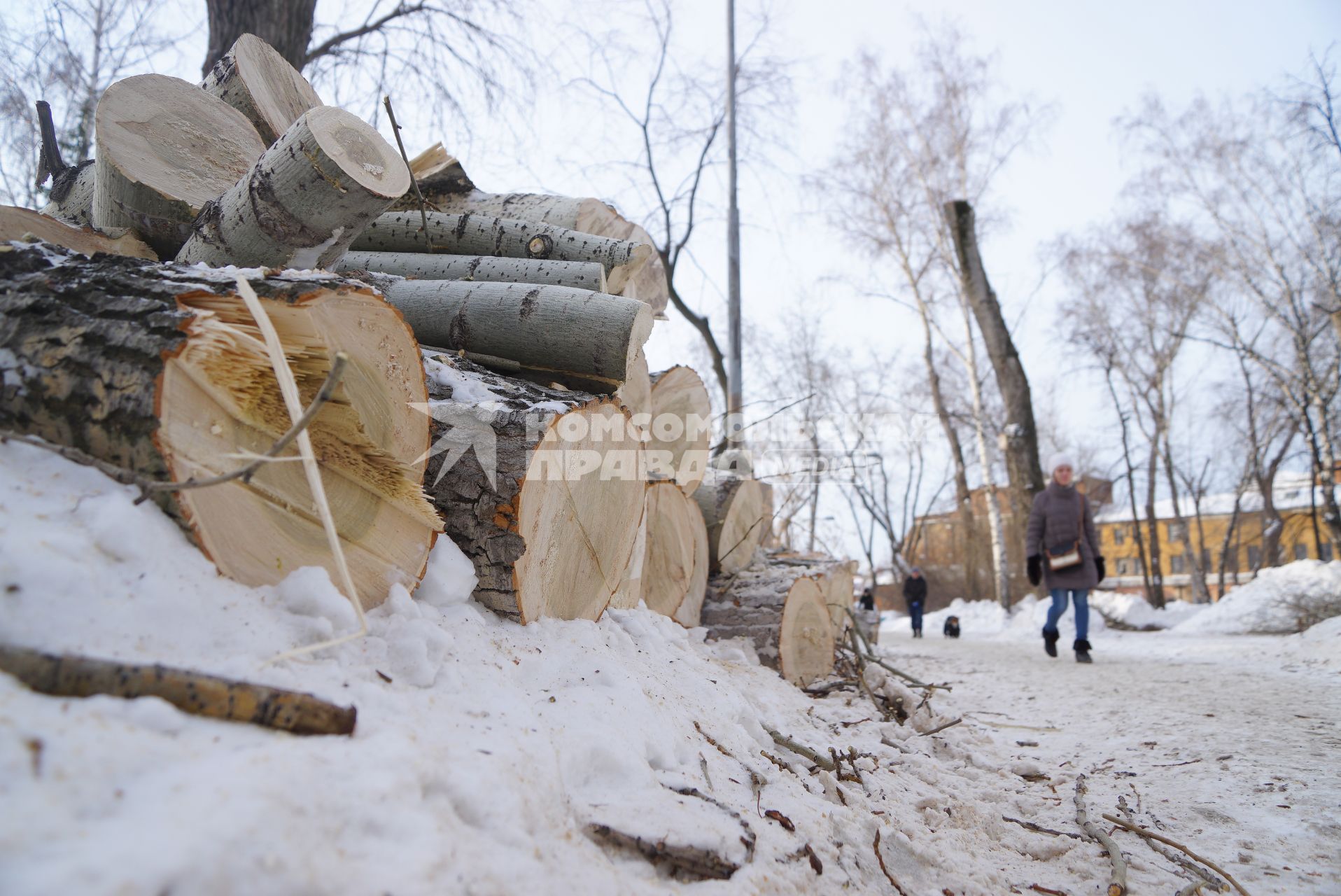 Екатеринбург. Рабочие проводят омолаживающую резку деревьев