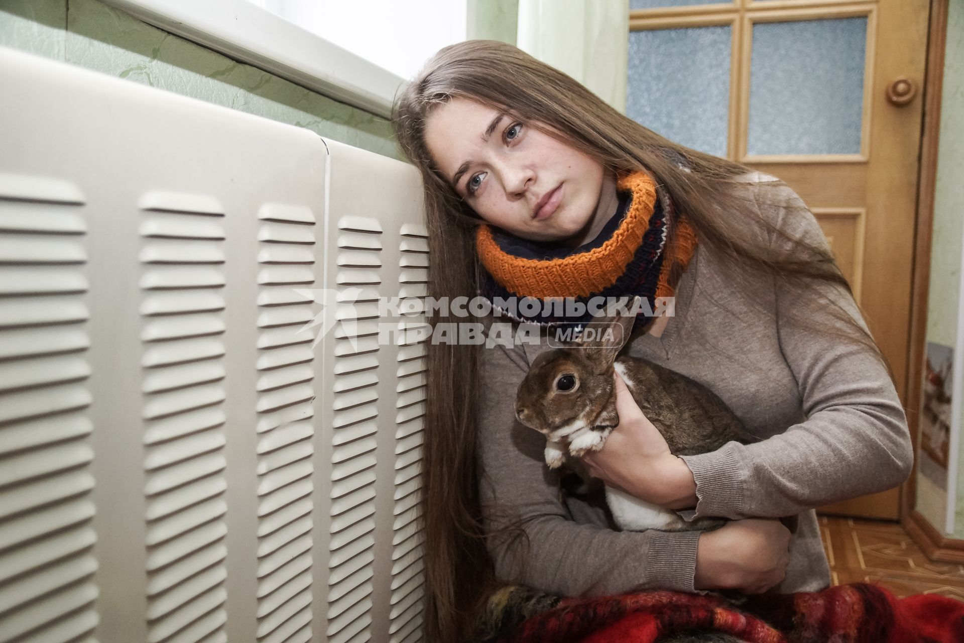 Самара.  Девушка с кроликом   греются у батареи в холодной квартире.