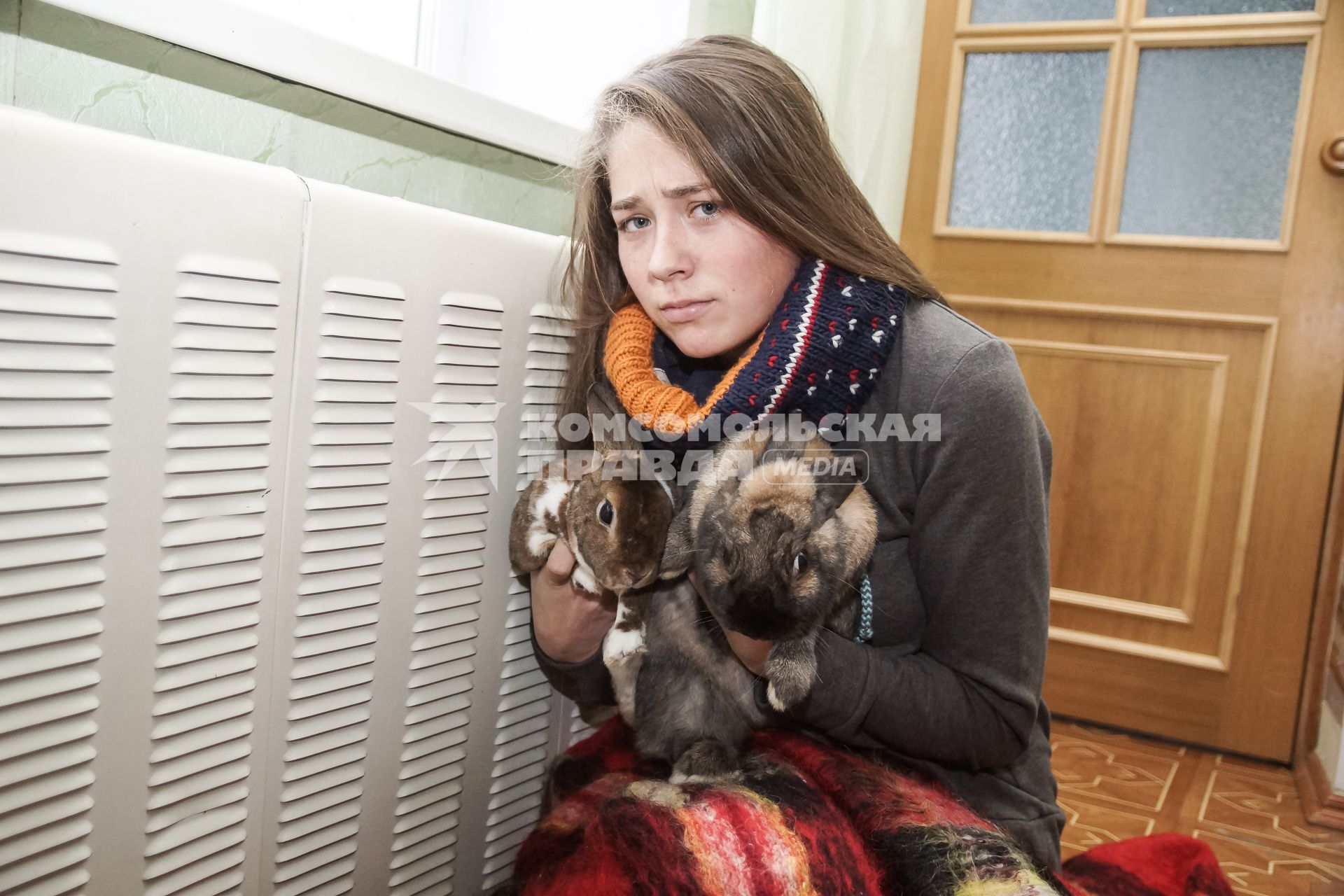Самара.  Девушка с кроликами   греются у батареи в холодной квартире.