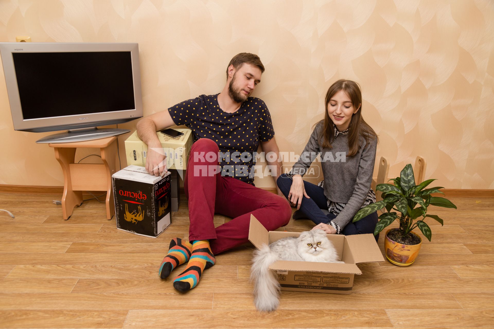 Челябинск. Молодые люди с котом в новой квартире.