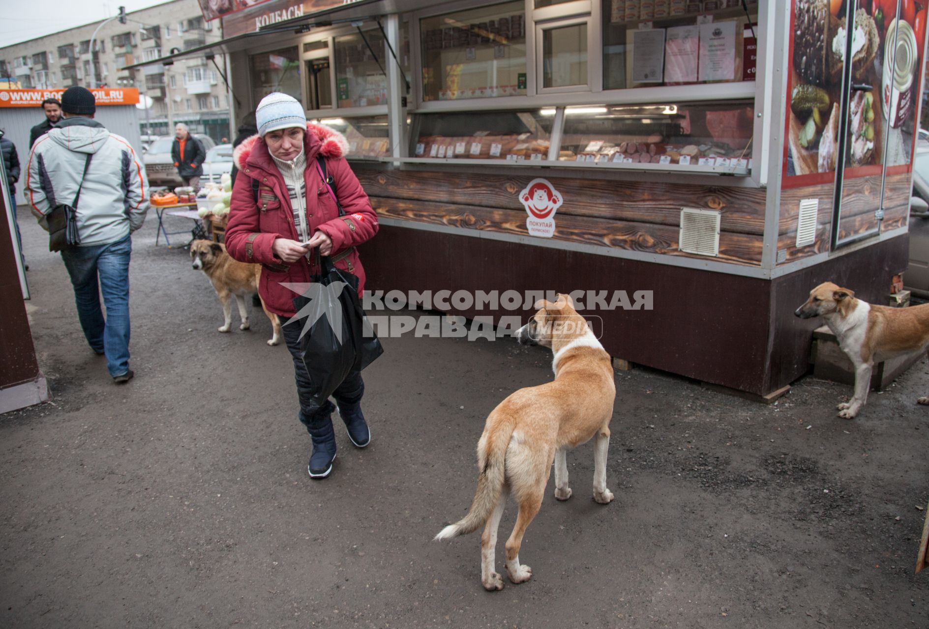 Пермь. Бездомные  собаки  у палатки с мясными деликатесами.