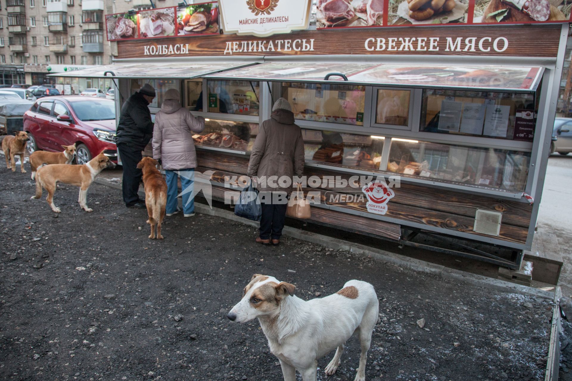 Пермь. Бездомные  собаки  у палатки с мясными деликатесами.