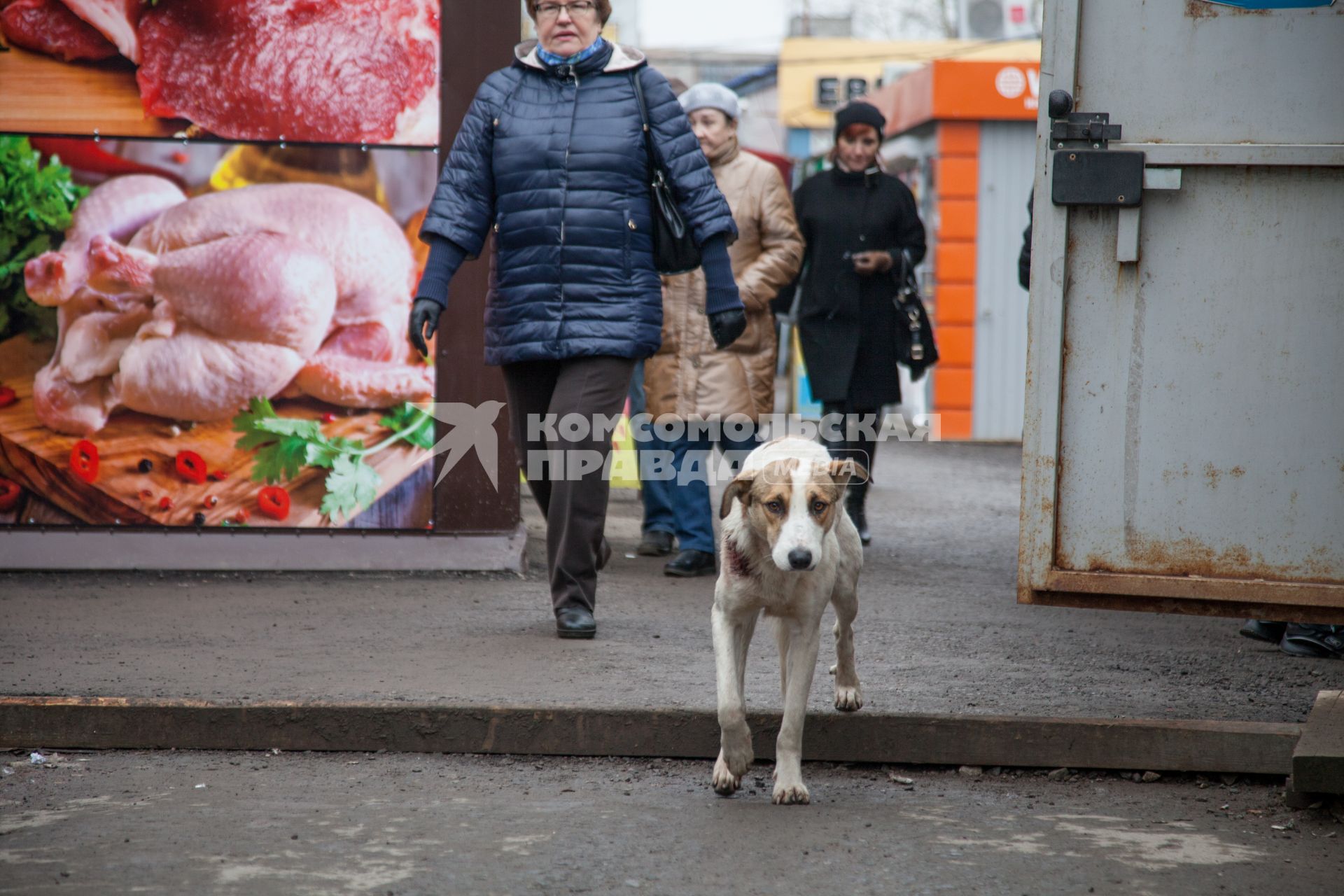 Пермь. Бездомные  собаки на рынке.