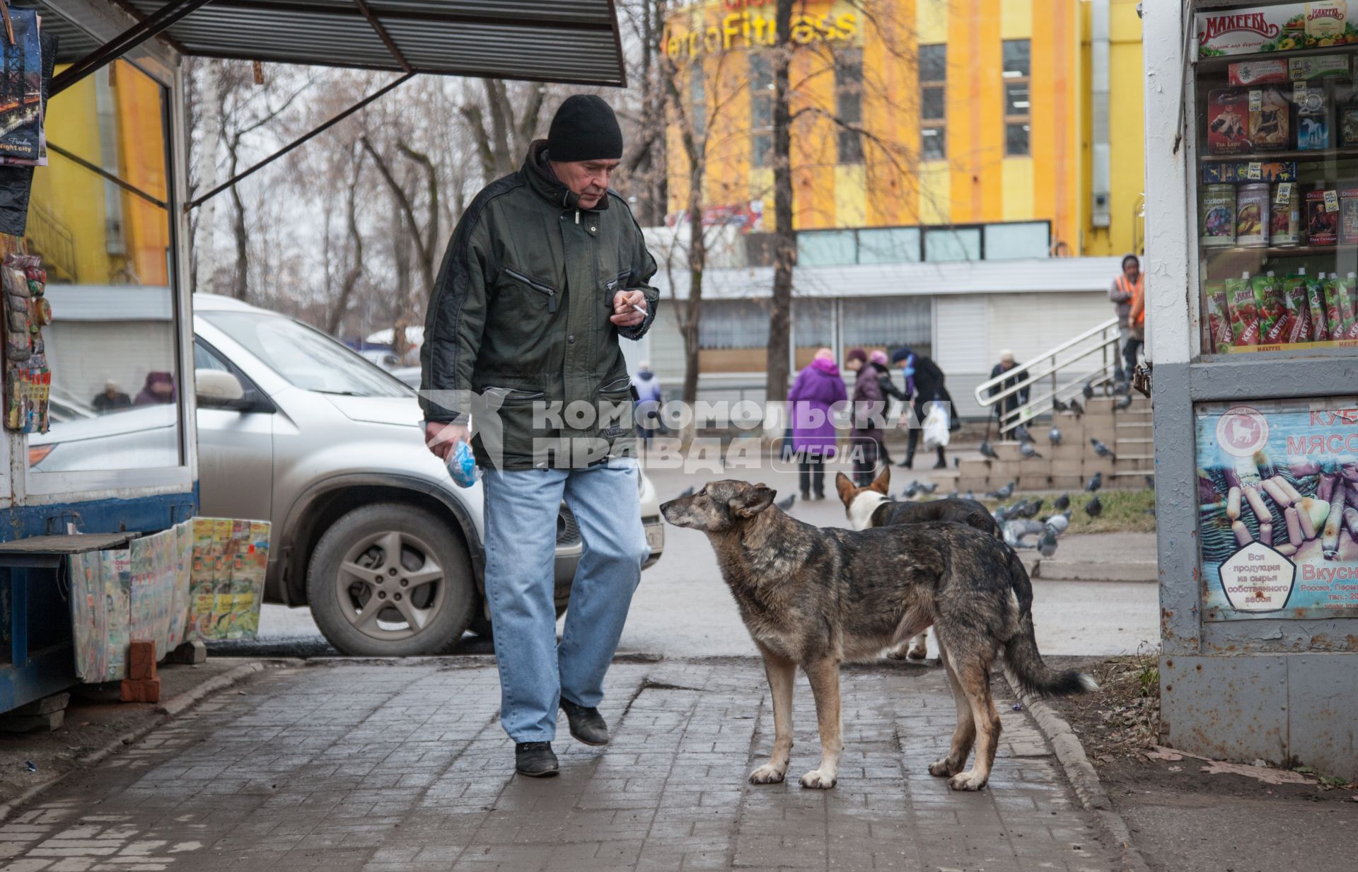 Пермь. Мужчина с бездомной собаки на рынке.