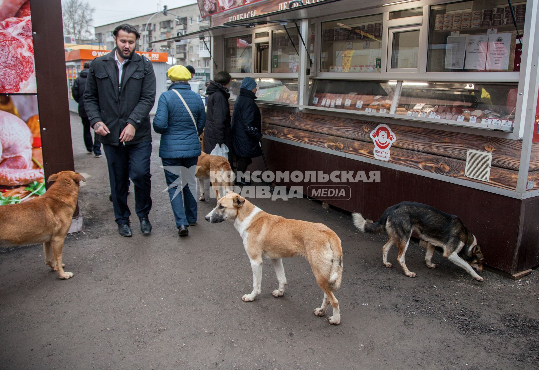 Пермь. Бездомные  собаки  у палатки с мясными деликатесами.