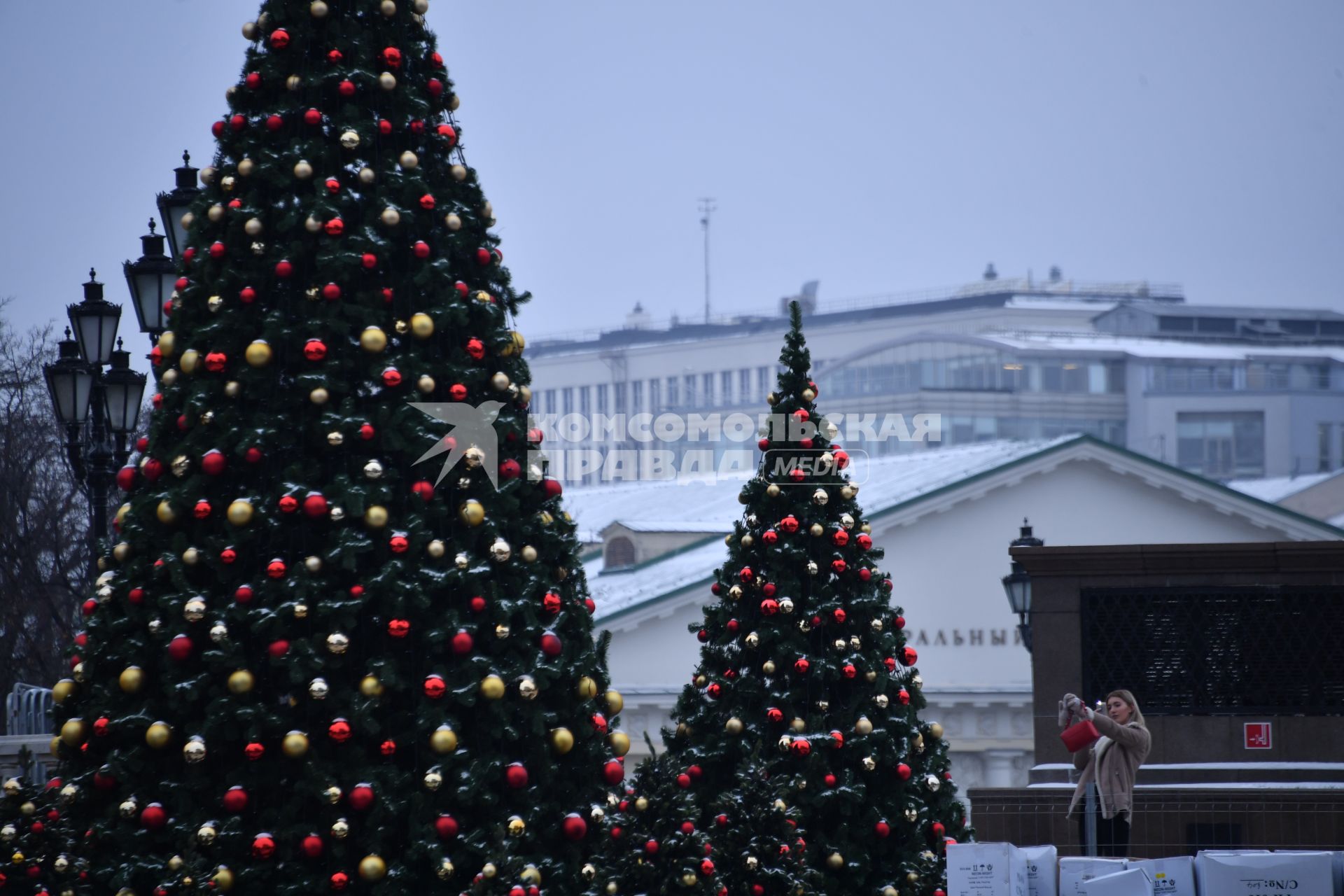 Москва.  Елки, украшенные к Новому году, на Манежной площади.