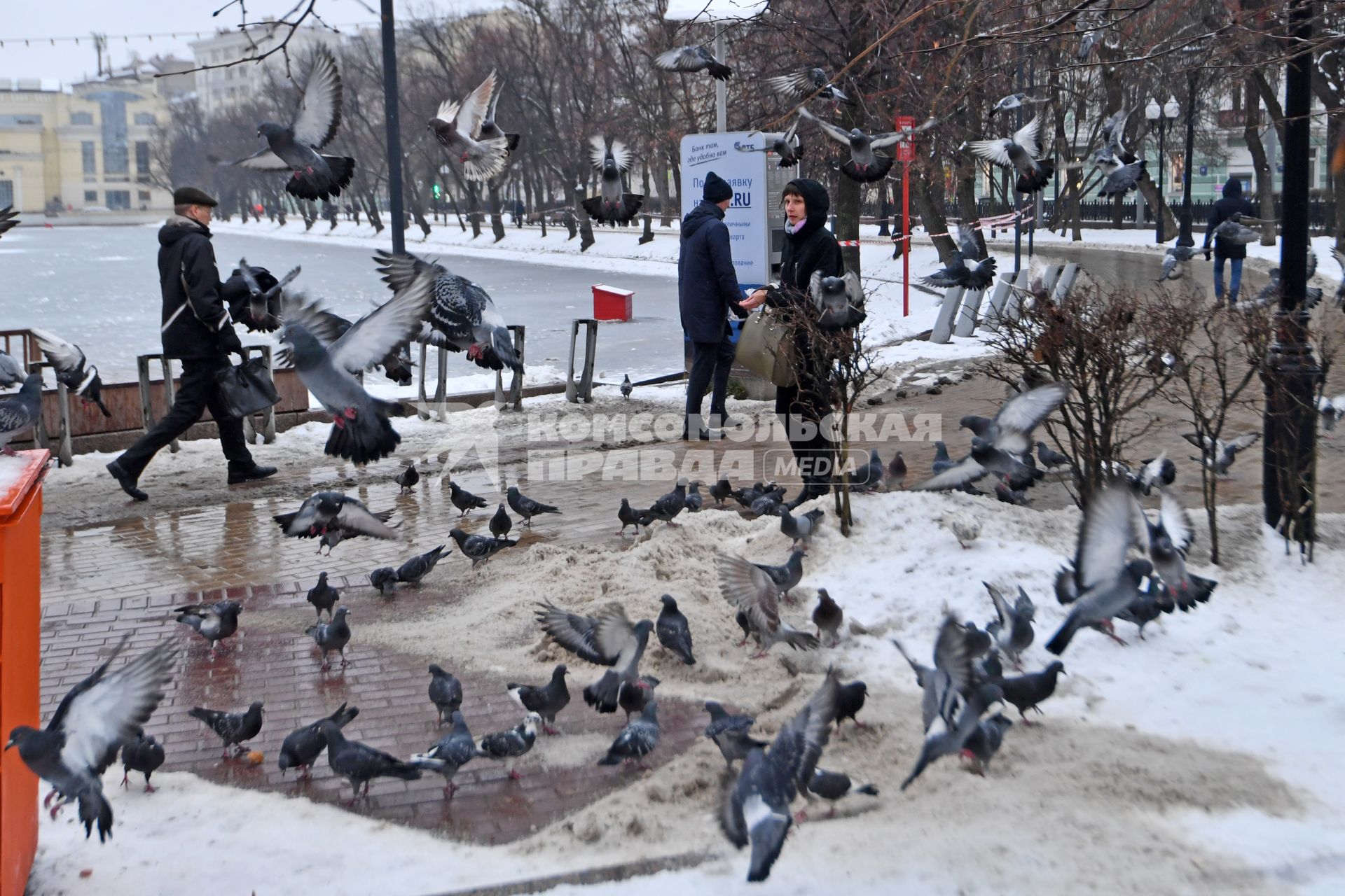 Москва. Голуби на Чистых прудах.