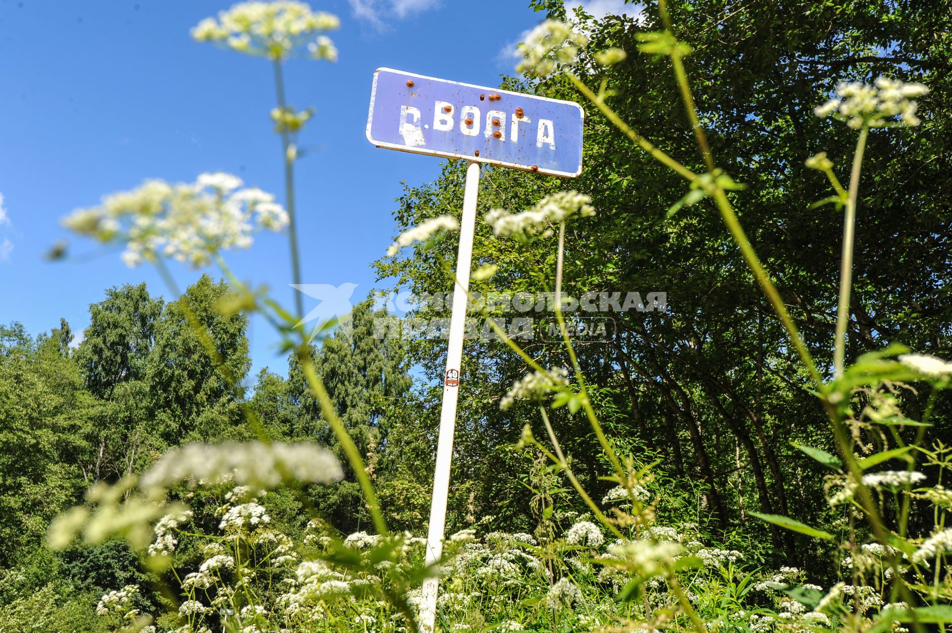 Тверская область, Волговерховье. Исток Волги.