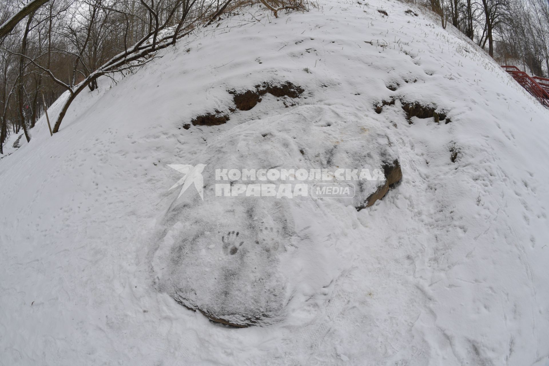 Москва.    `Гусь-камень`  в Голосовом овраге парка Коломенское.