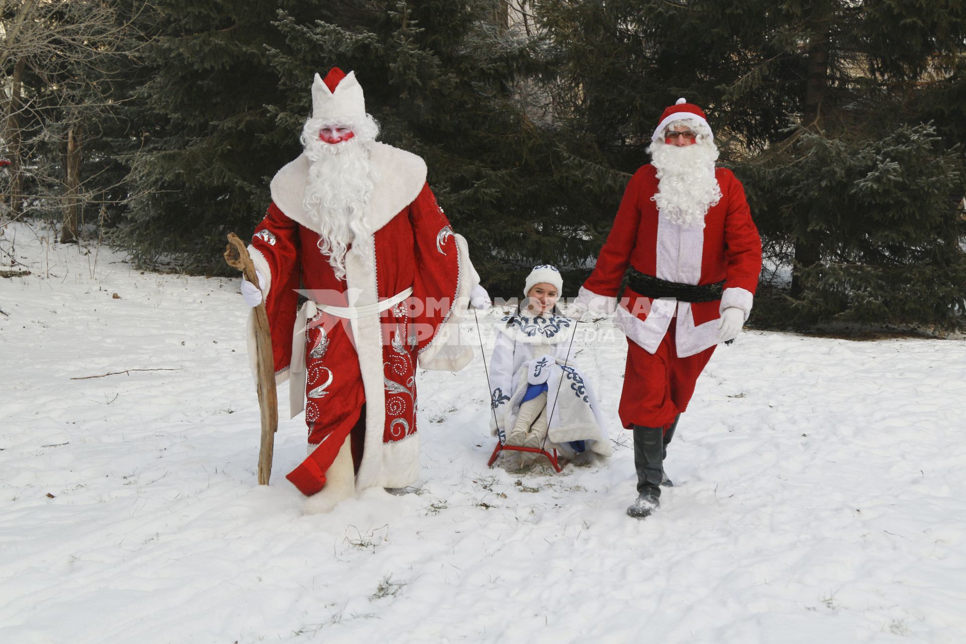 Барнаул. Дед Мороз и Санта-Клаус везут на санках  Снегурочку.