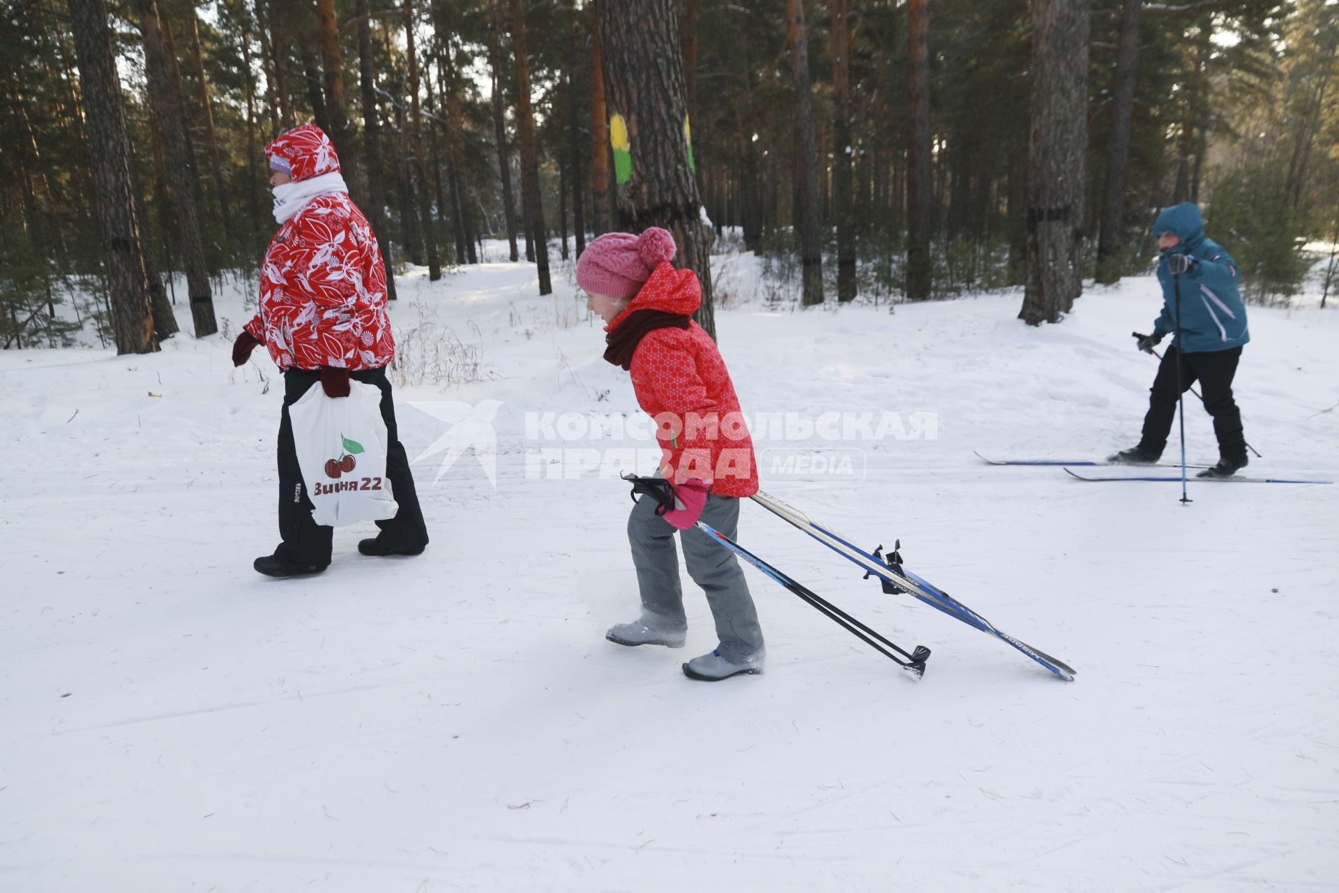 Барнаул. Участники  лыжного праздника `Трасса здоровья`.