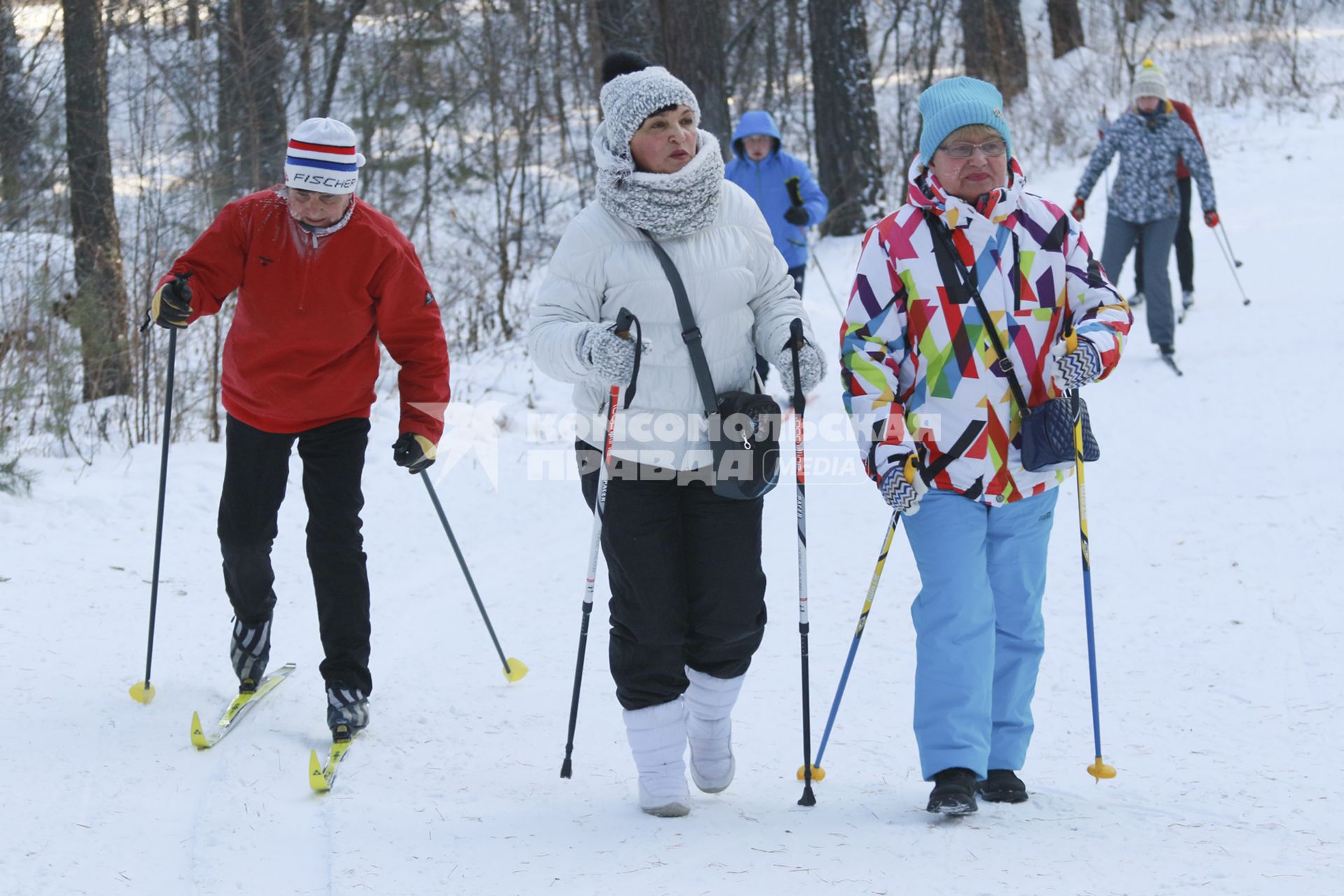 Барнаул. Участники лыжного праздника `Трасса здоровья`.