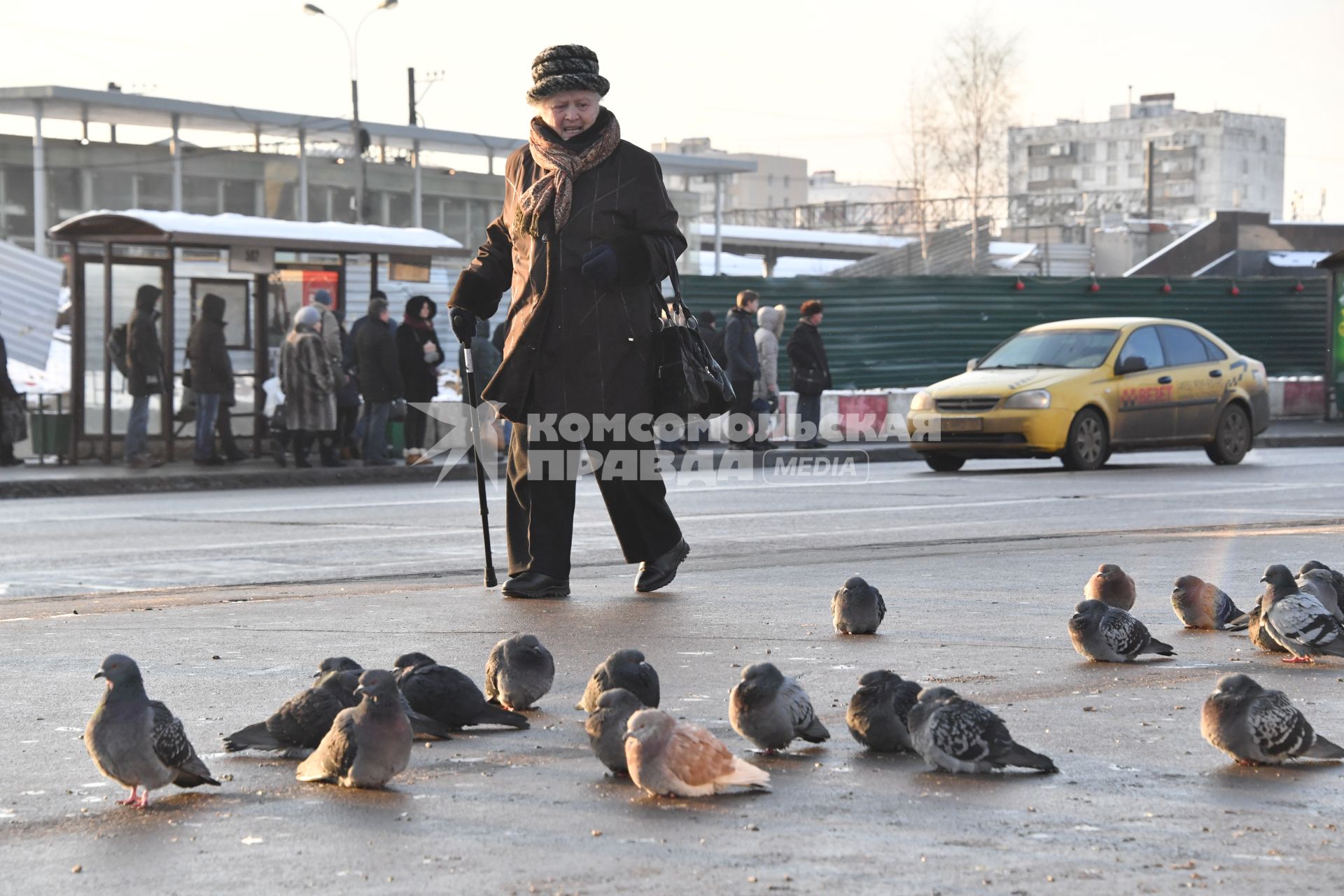 Москва. Пожилая женщина идет мимо  стаи голубей.