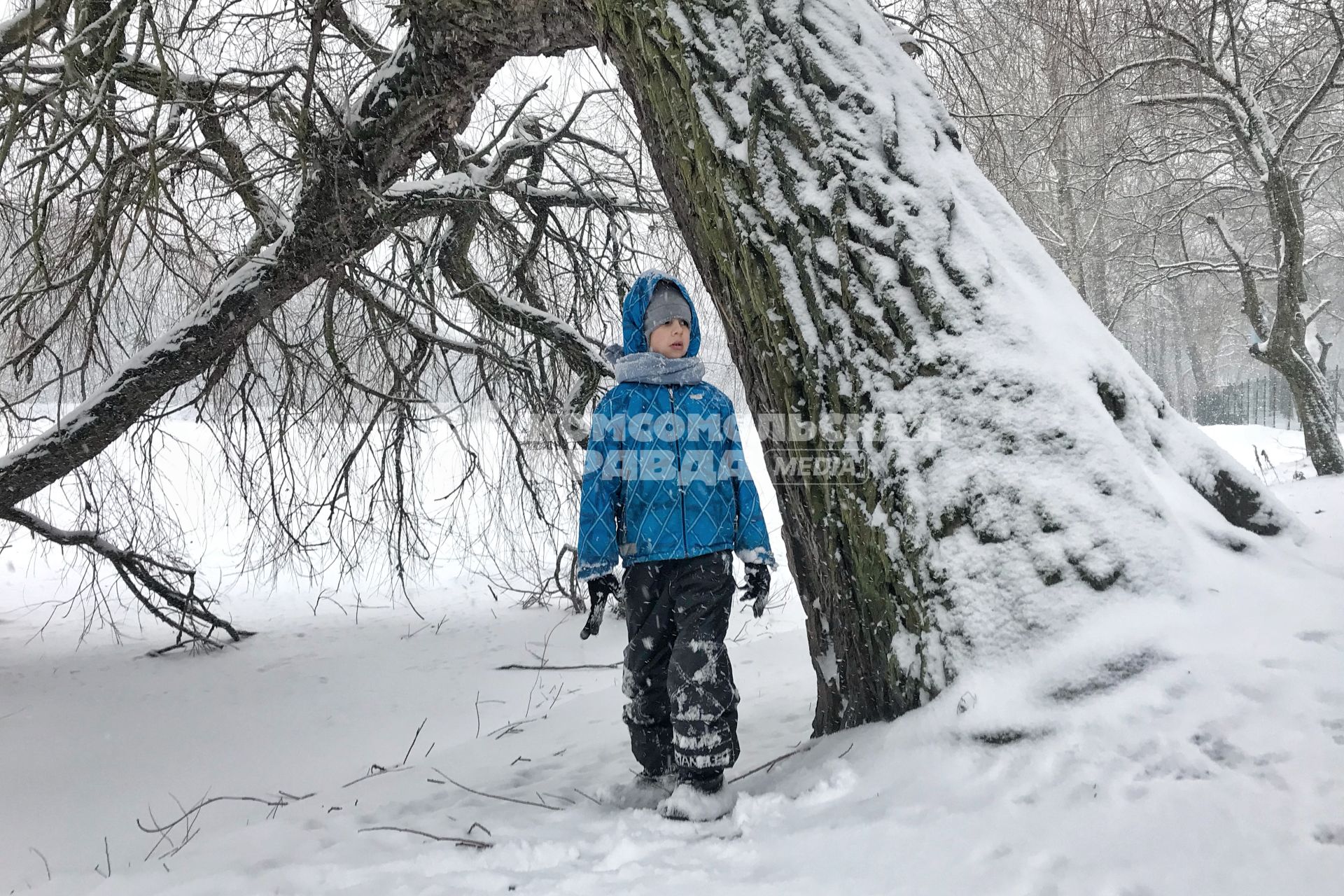 Москва. Мальчик во время прогулки в парке.