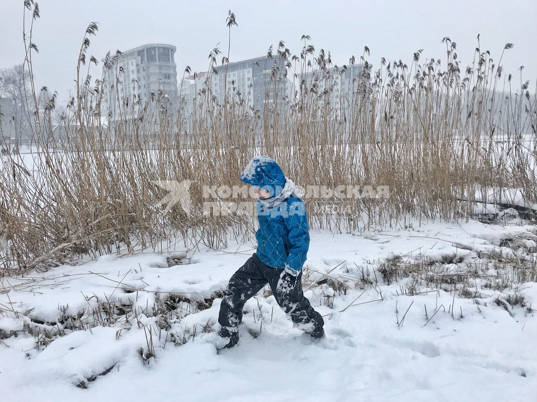 Москва. Мальчик во время прогулки.