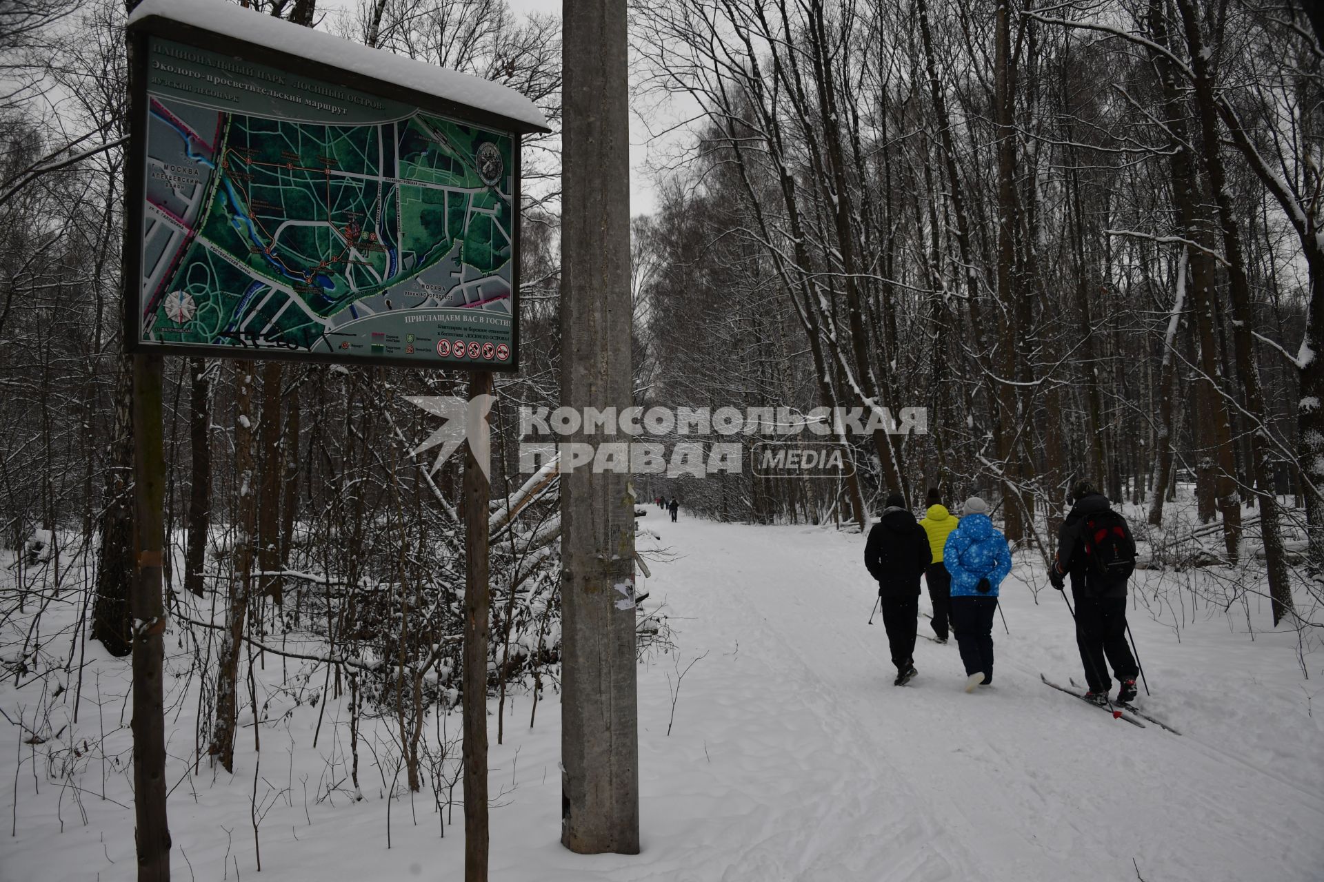 Москва. Отдых москвичей в парке `Лосиный остров`.