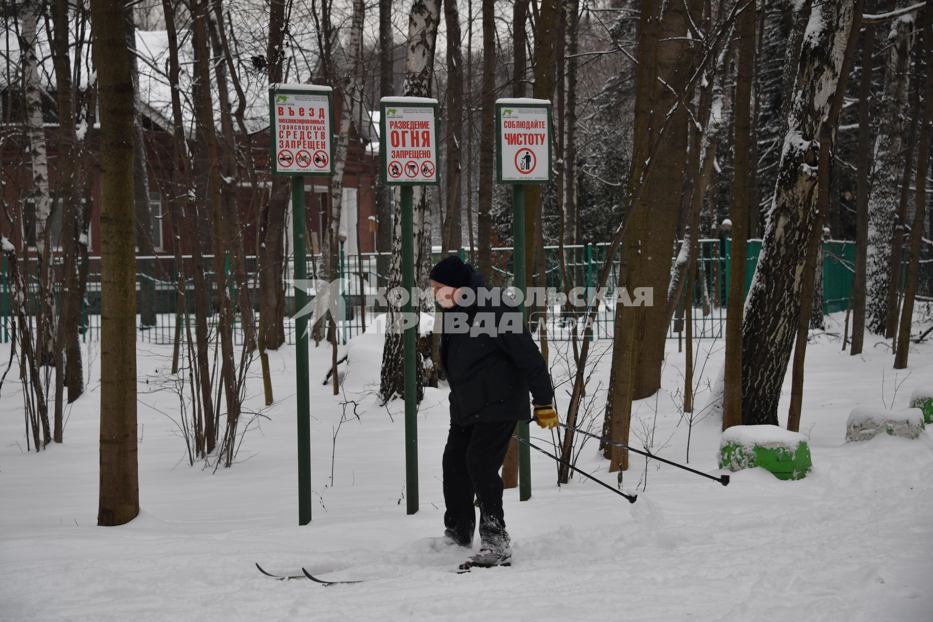 Москва. Отдых москвичей в парке `Лосиный остров`.