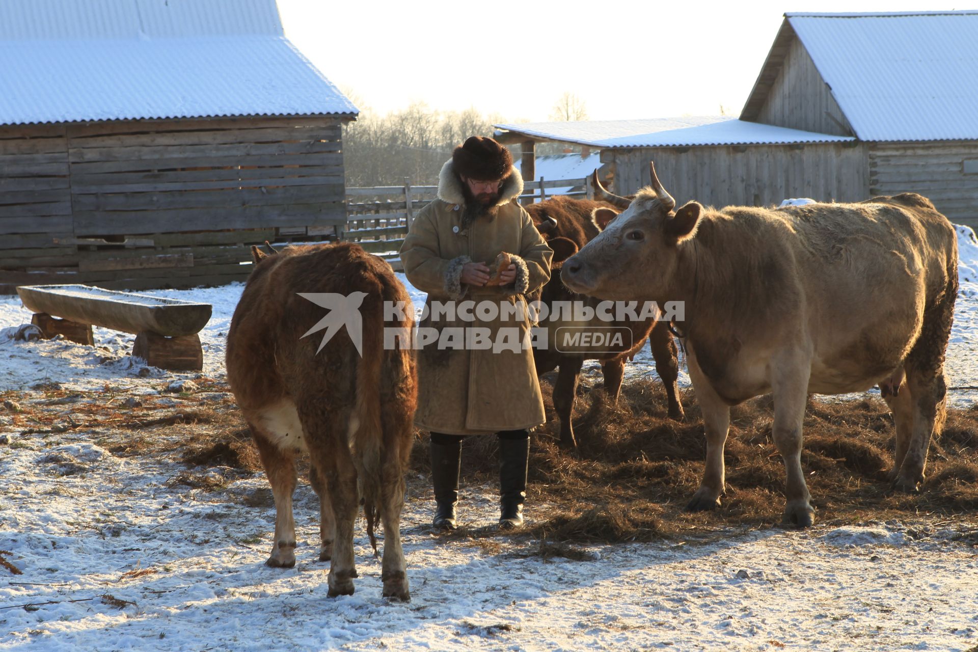 Диск 252. Герман Стерлигов