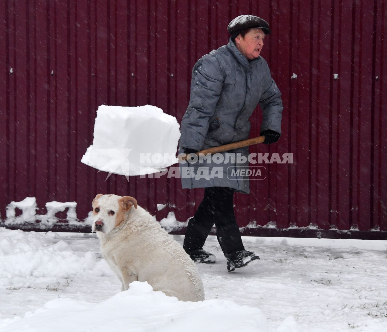 Московская область.  Женщина чистит снег на загородном участке.