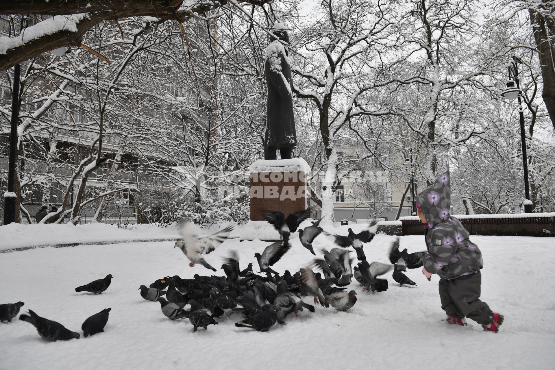 Москва. Ребенок бегает за голубями.