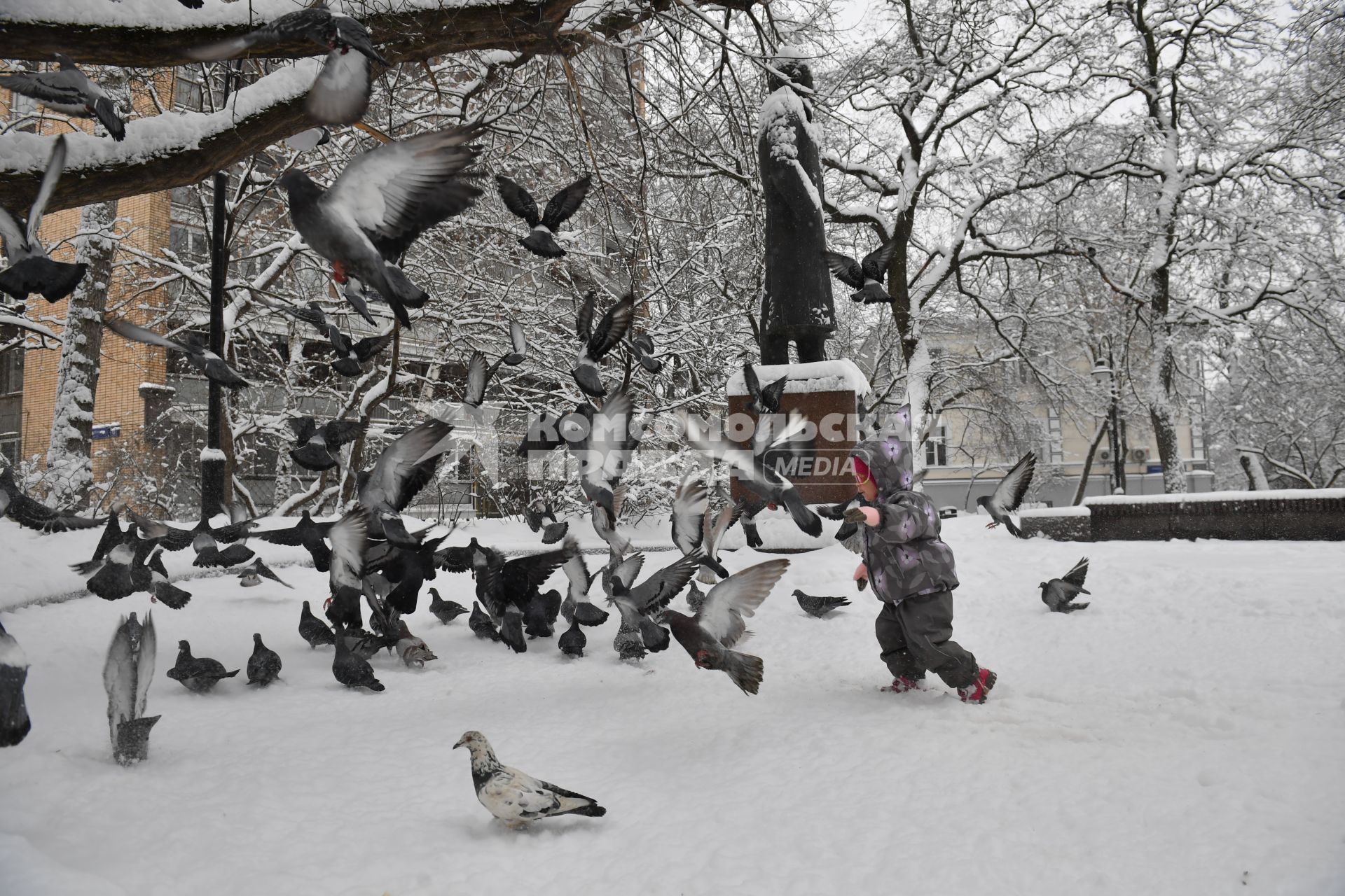 Москва. Ребенок бегает за голубями.