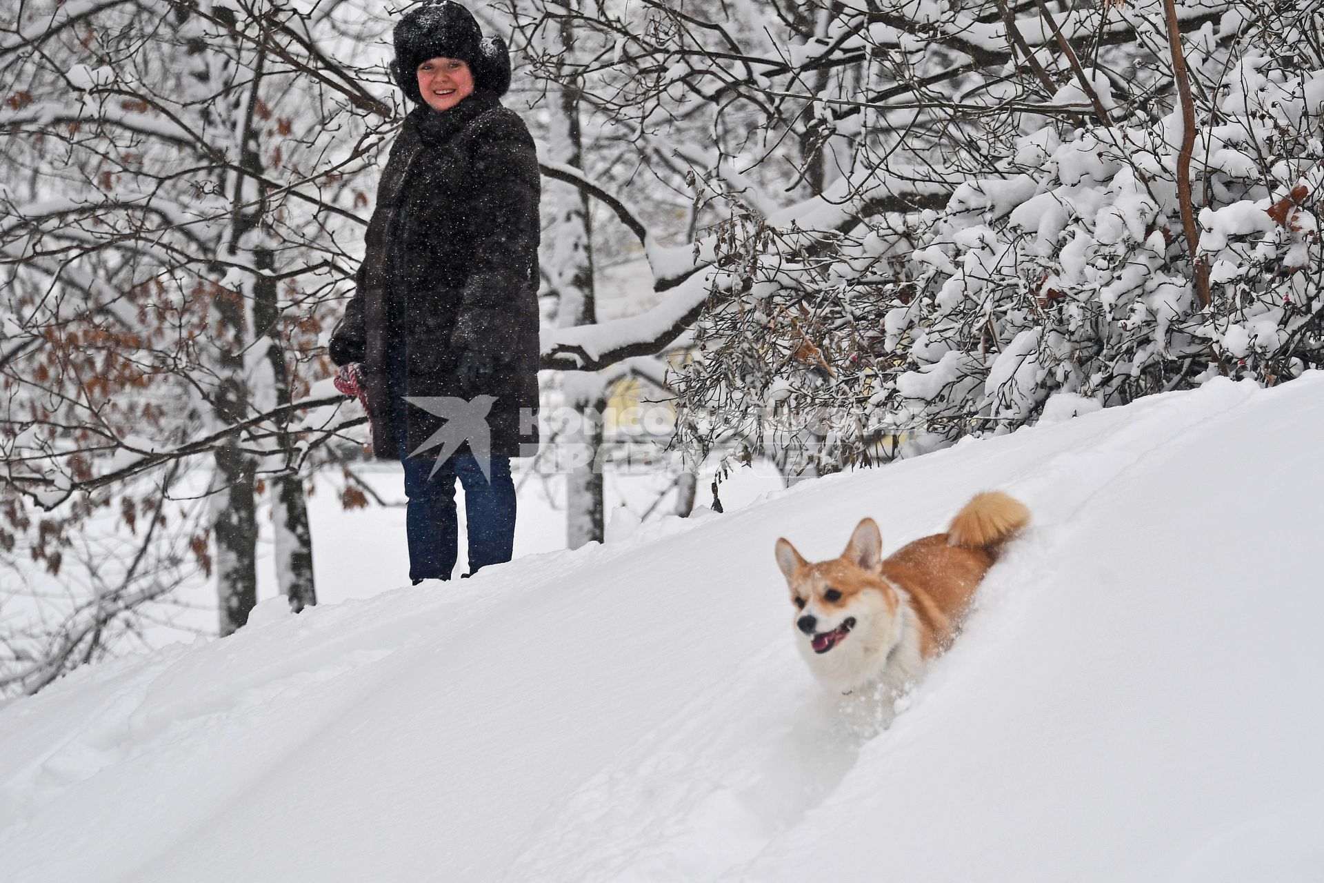 Москва. Прогулка в парке.