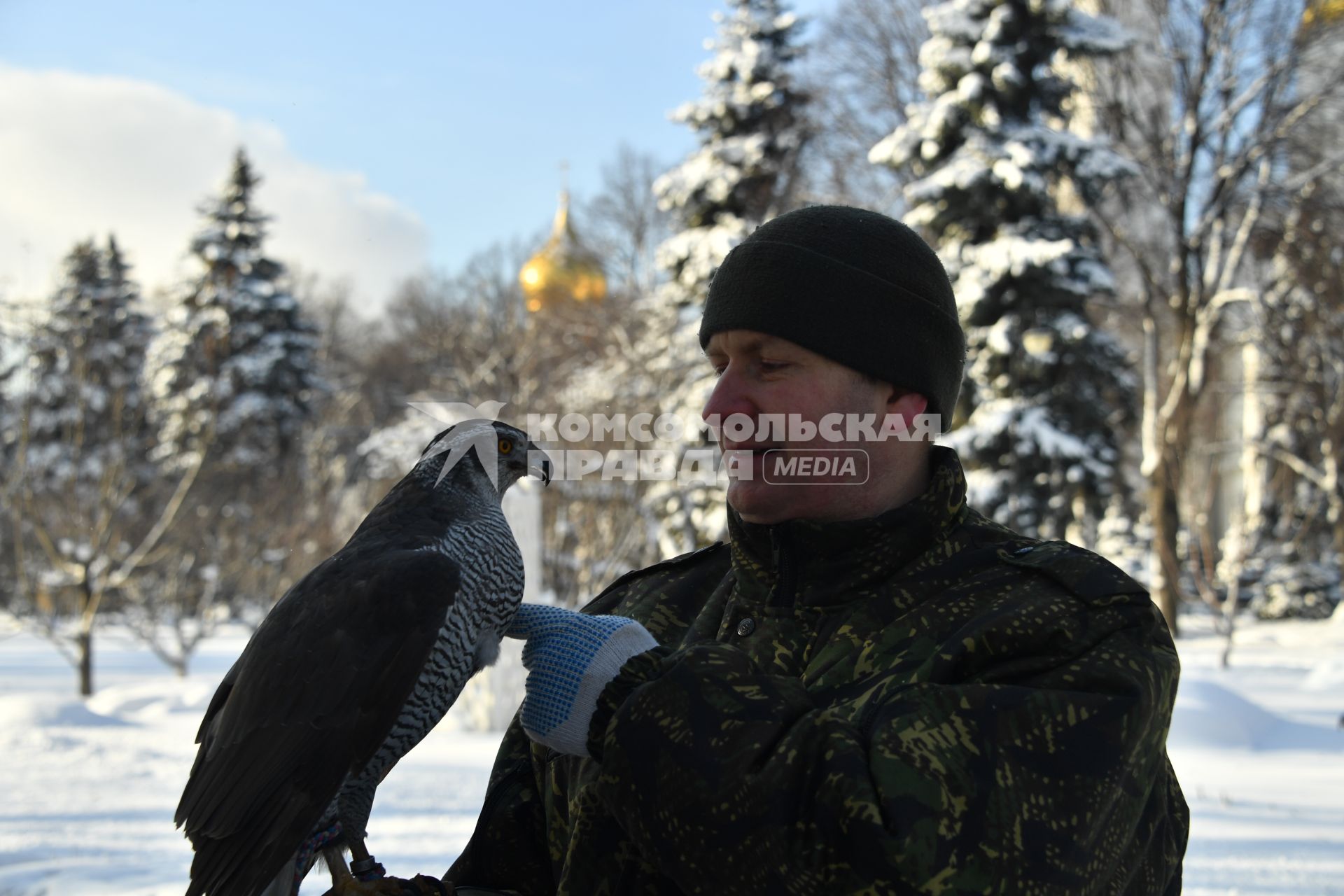 Москва. Военнослужащий   Соколиной службы комендатуры Московского Кремля  с соколом Альфой.