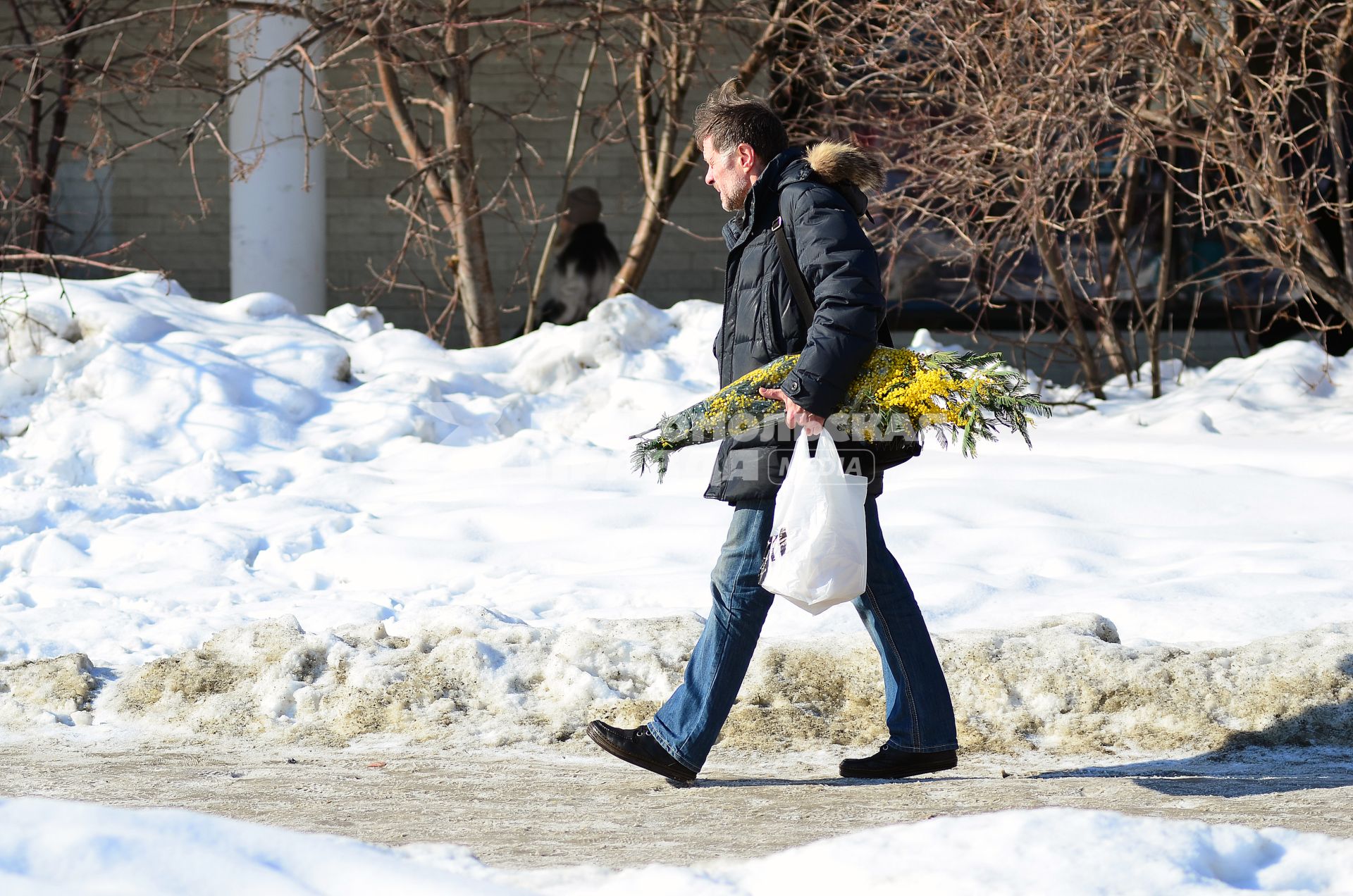 Новосибирск. Мужчина с букетом мимозы на улице города.