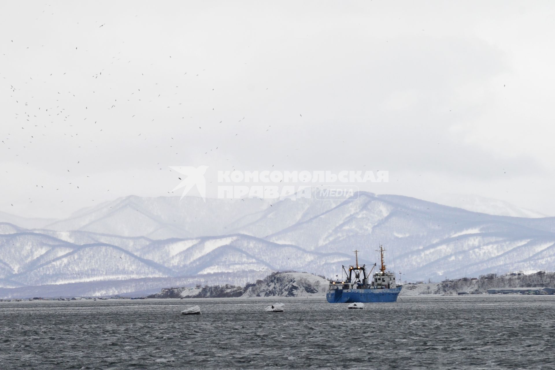 Петропавловск-Камчатский. Вид на  Авачинскую бухту.