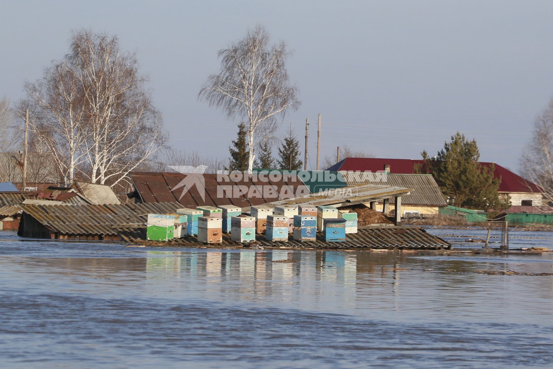 Алтай, село Зеленый Дол.  Ульи для пчел на крыше затопленного  дома.