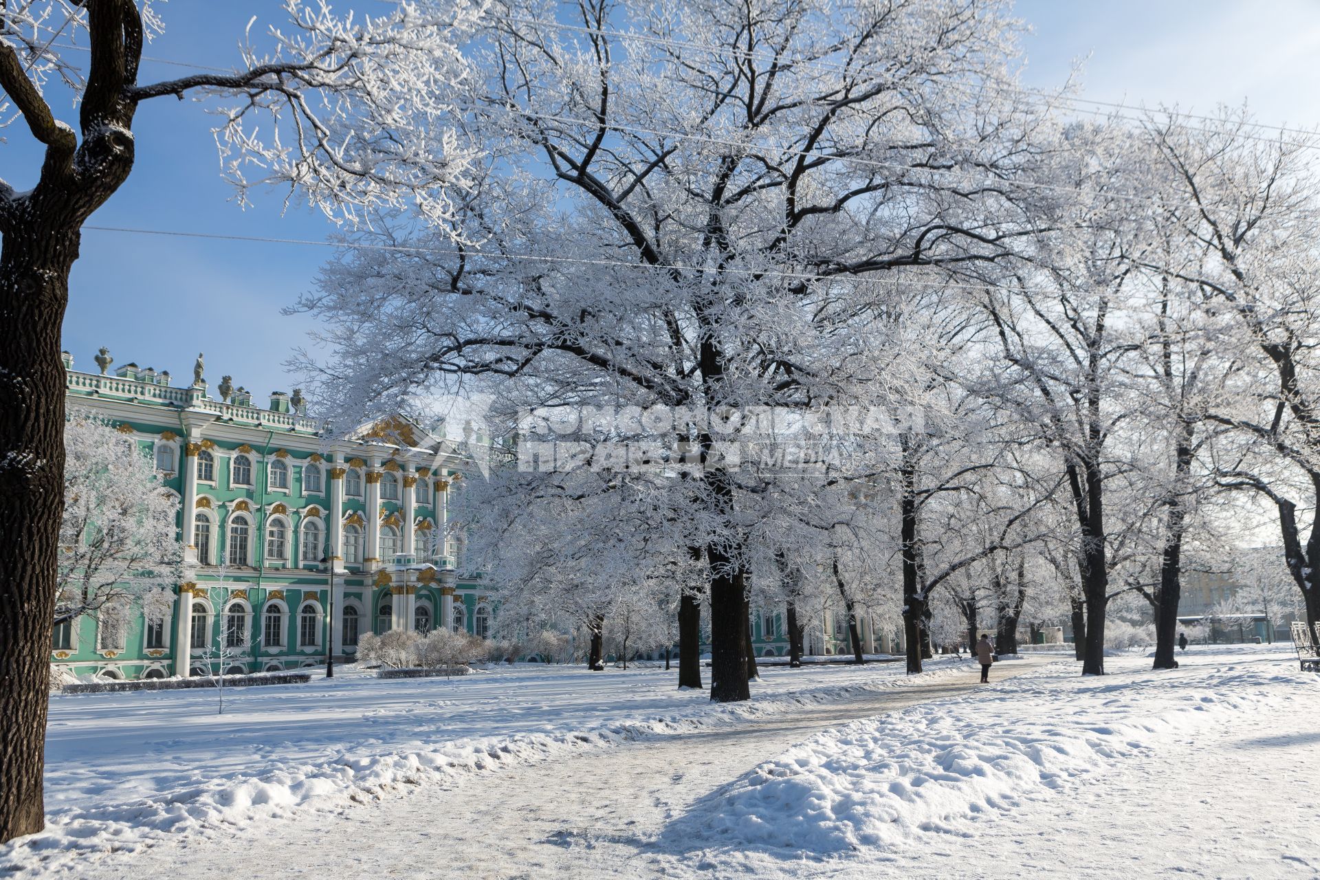 Санкт-Петербург.  Деревья в снегу в саду Зимнего дворца.