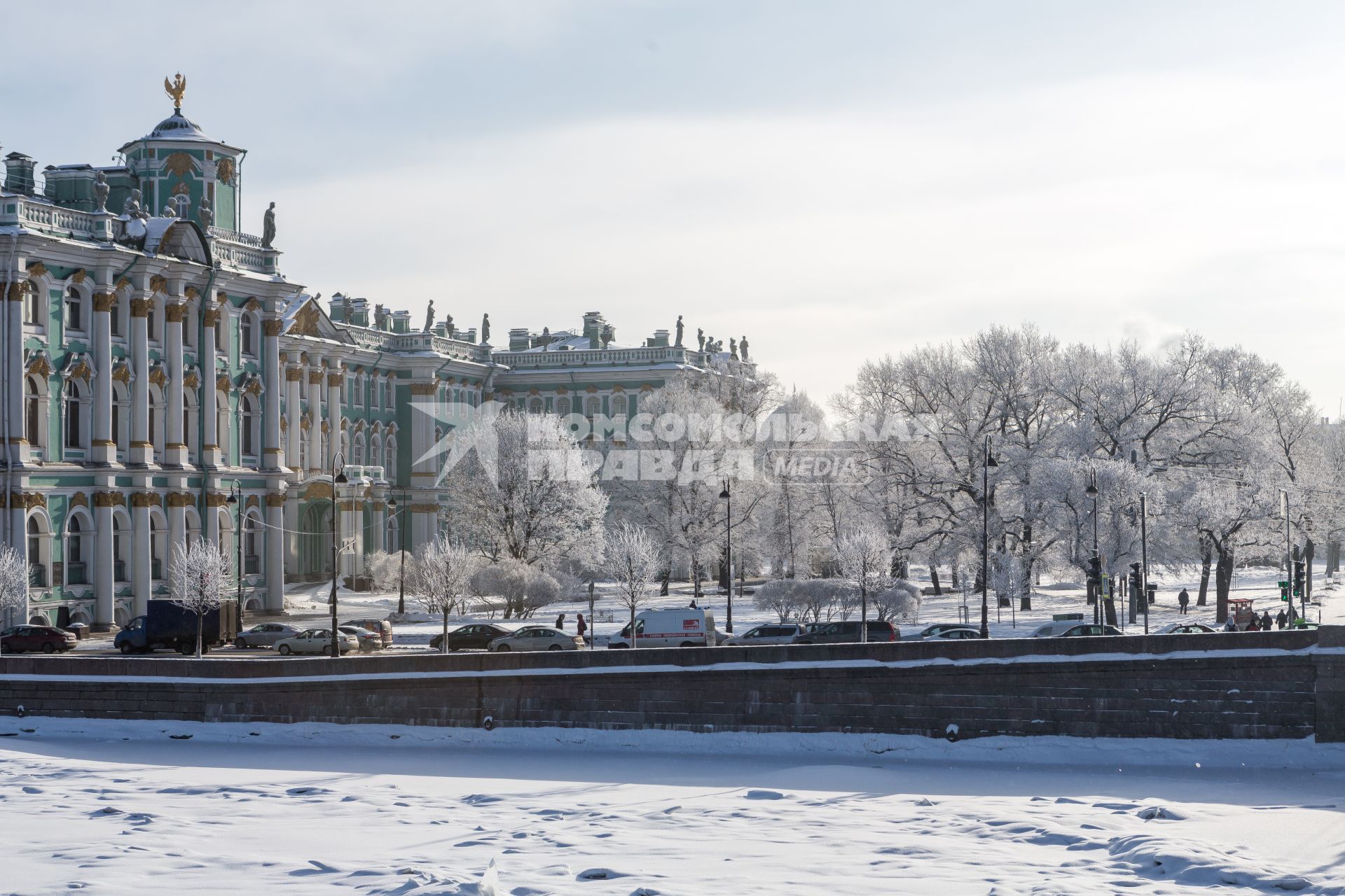 Санкт-Петербург.  Деревья в снегу в саду Зимнего дворца.