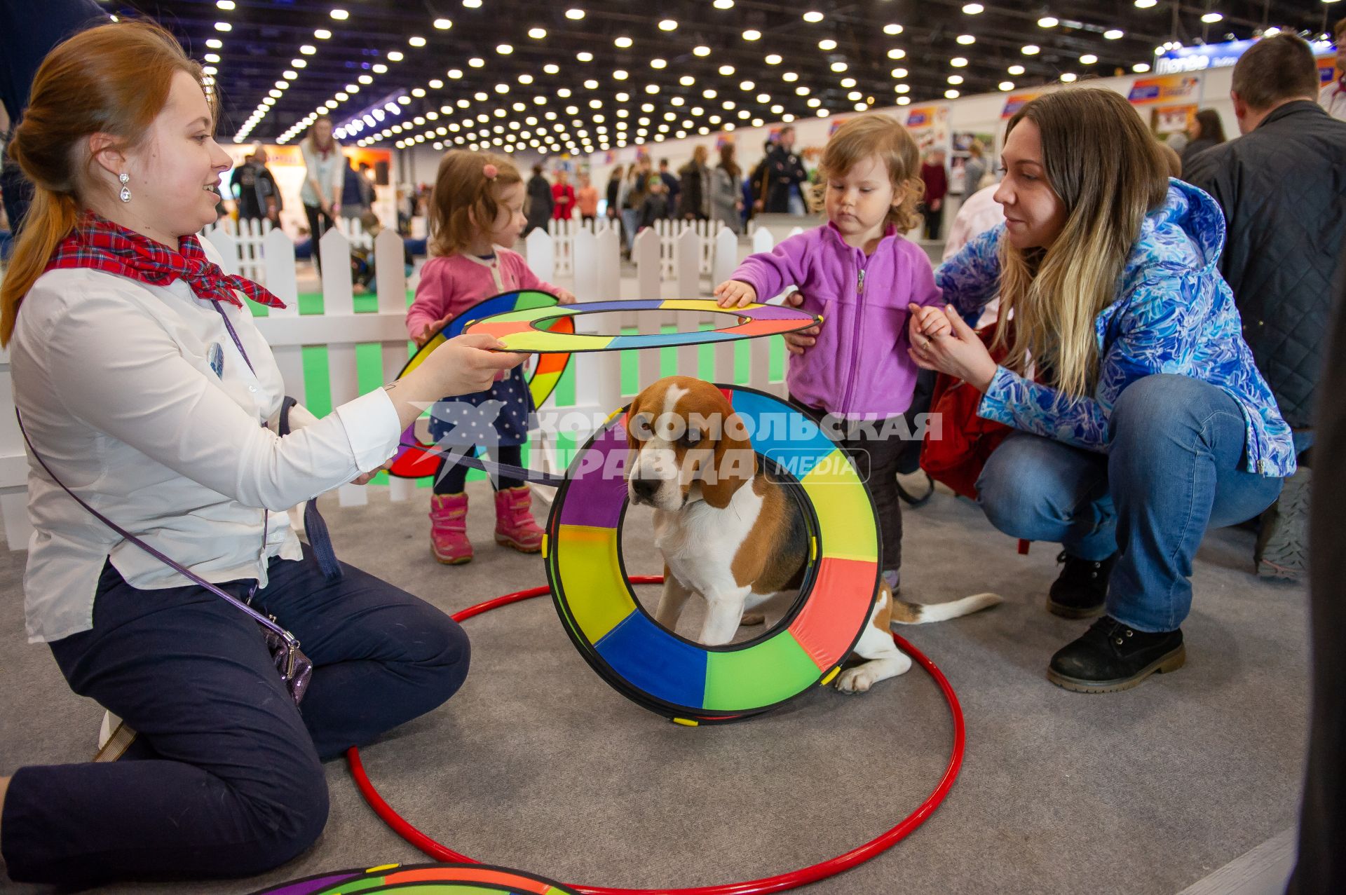 Санкт-Петербург. Дети играют со щенком  на выставке домашних животных и услуг для них`Зоосфера`.