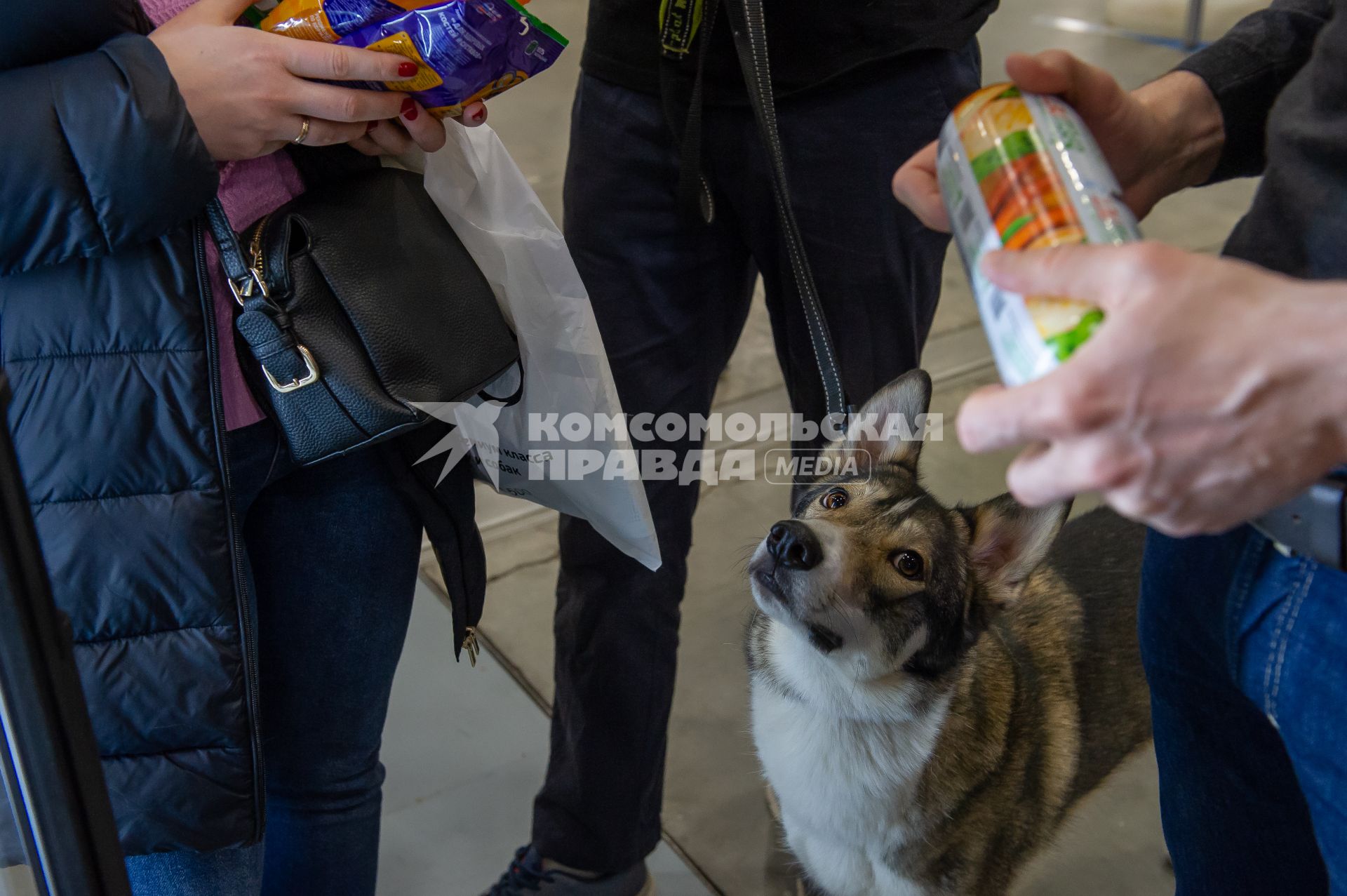 Санкт-Петербург. Посетители с  собакой на выставке  домашних животных и услуг для них `Зоосфера`.