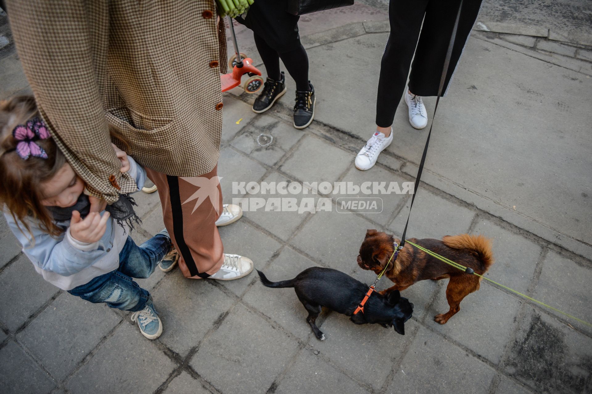 Москва. Уличные встречи.