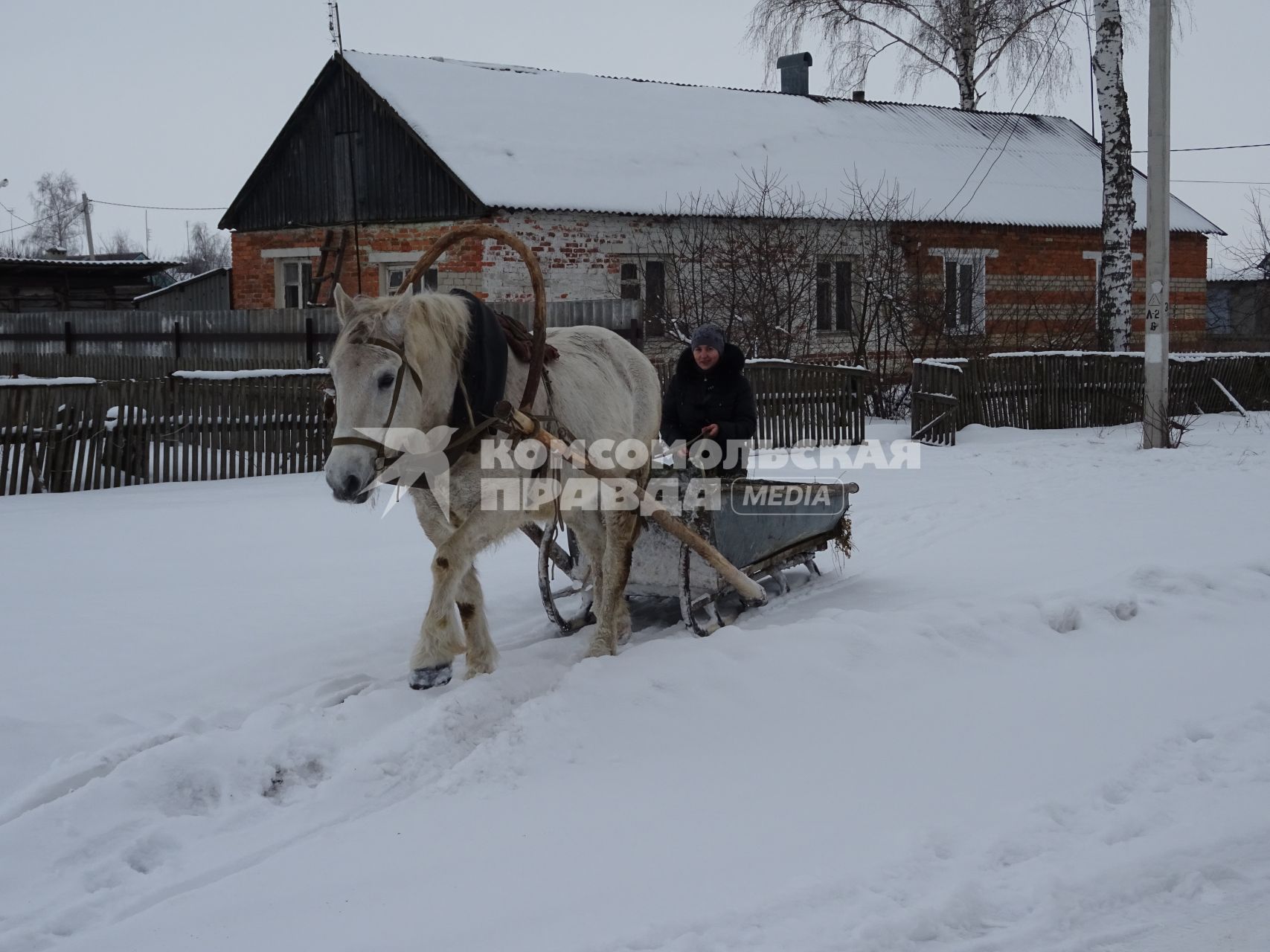 Село Глазок. Лошадь, запряженная в сани на улице села.