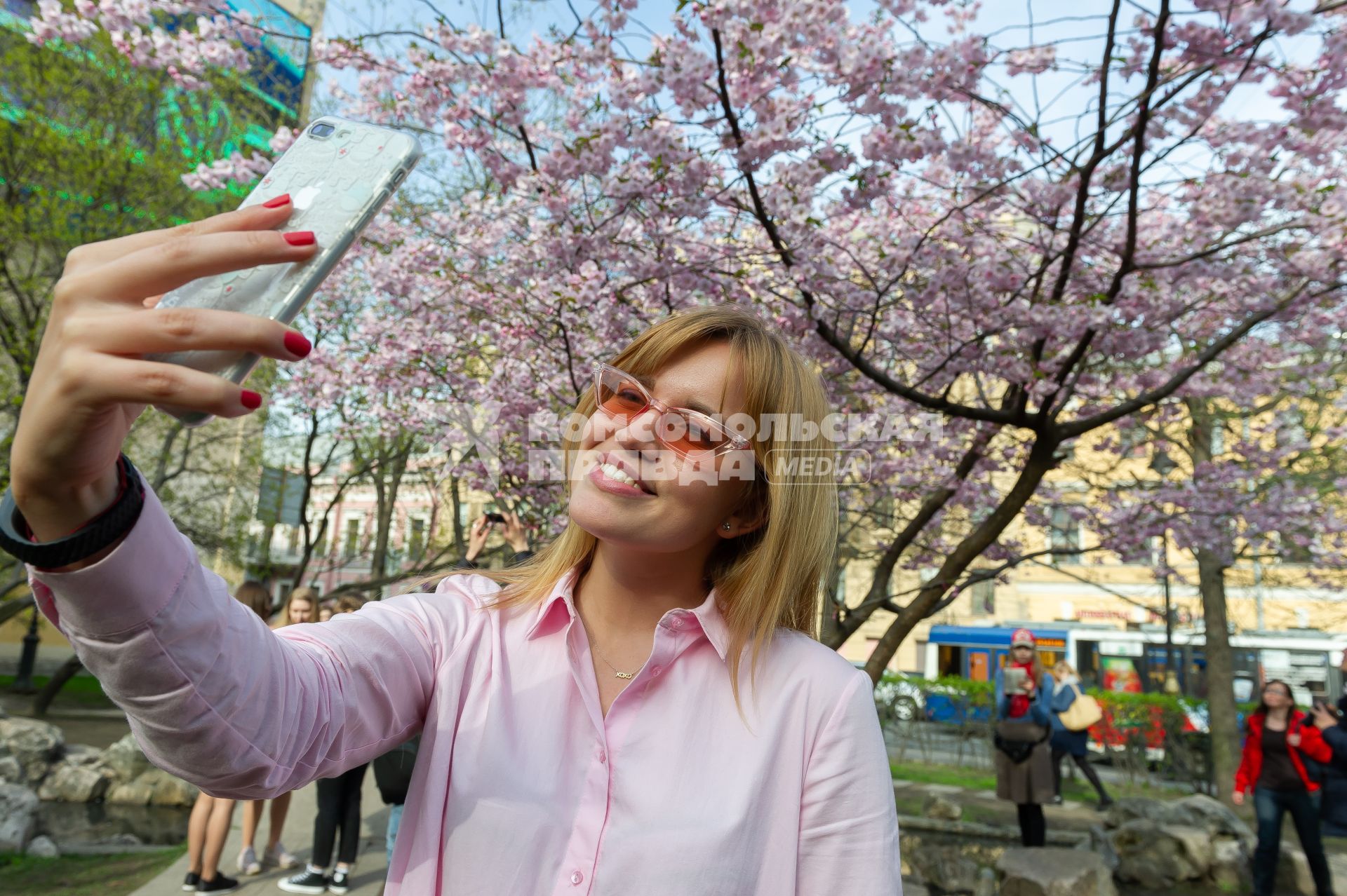 Санкт-Петербург. Девушка фотографируется на фоне цветущей сакуры  в Ботаническом саду Петра Великого.